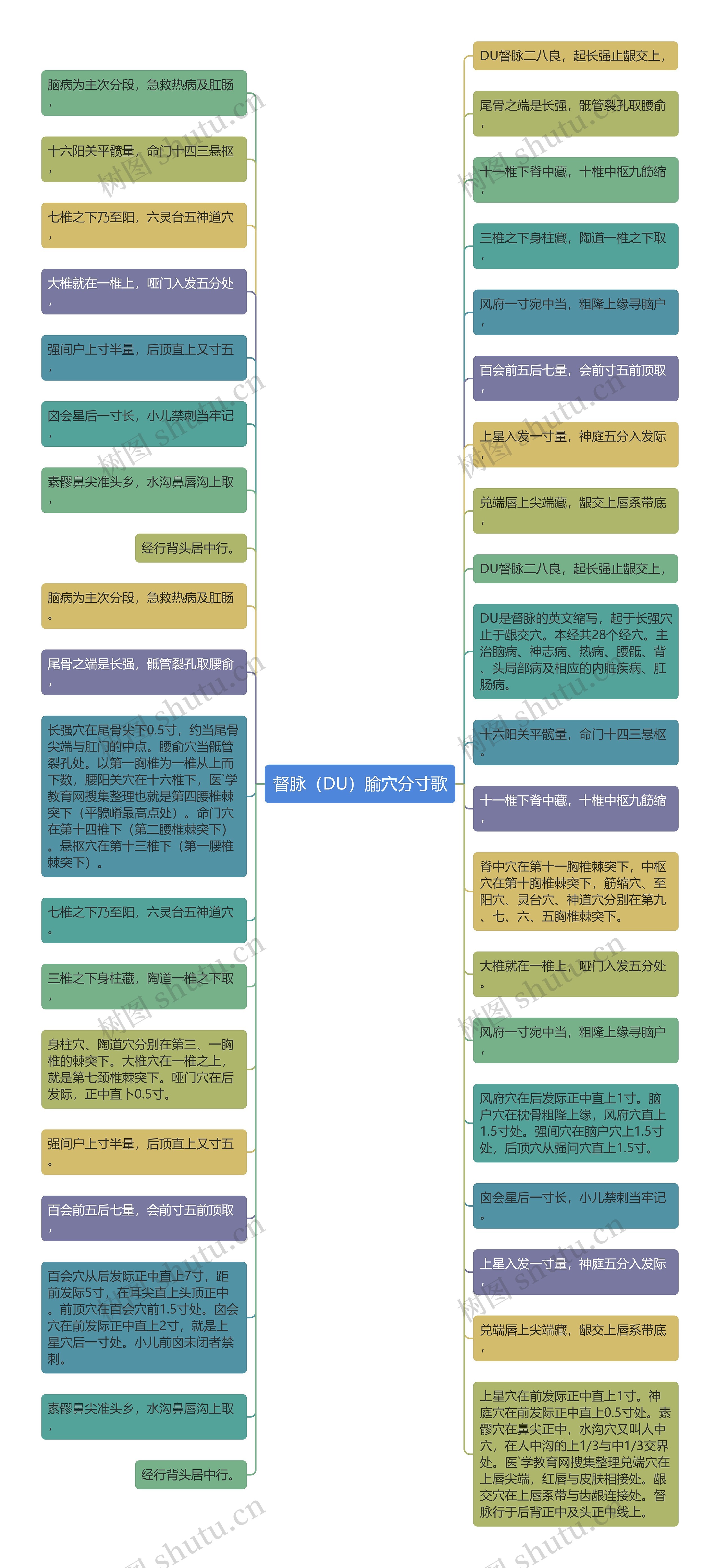 督脉（DU）腧穴分寸歌思维导图