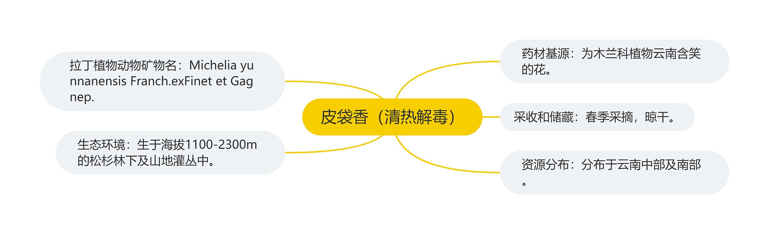 皮袋香(清热解毒) 皮袋香(清热解毒)