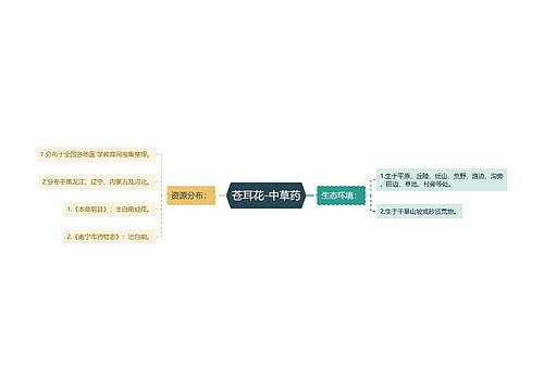 苍耳花-中草药