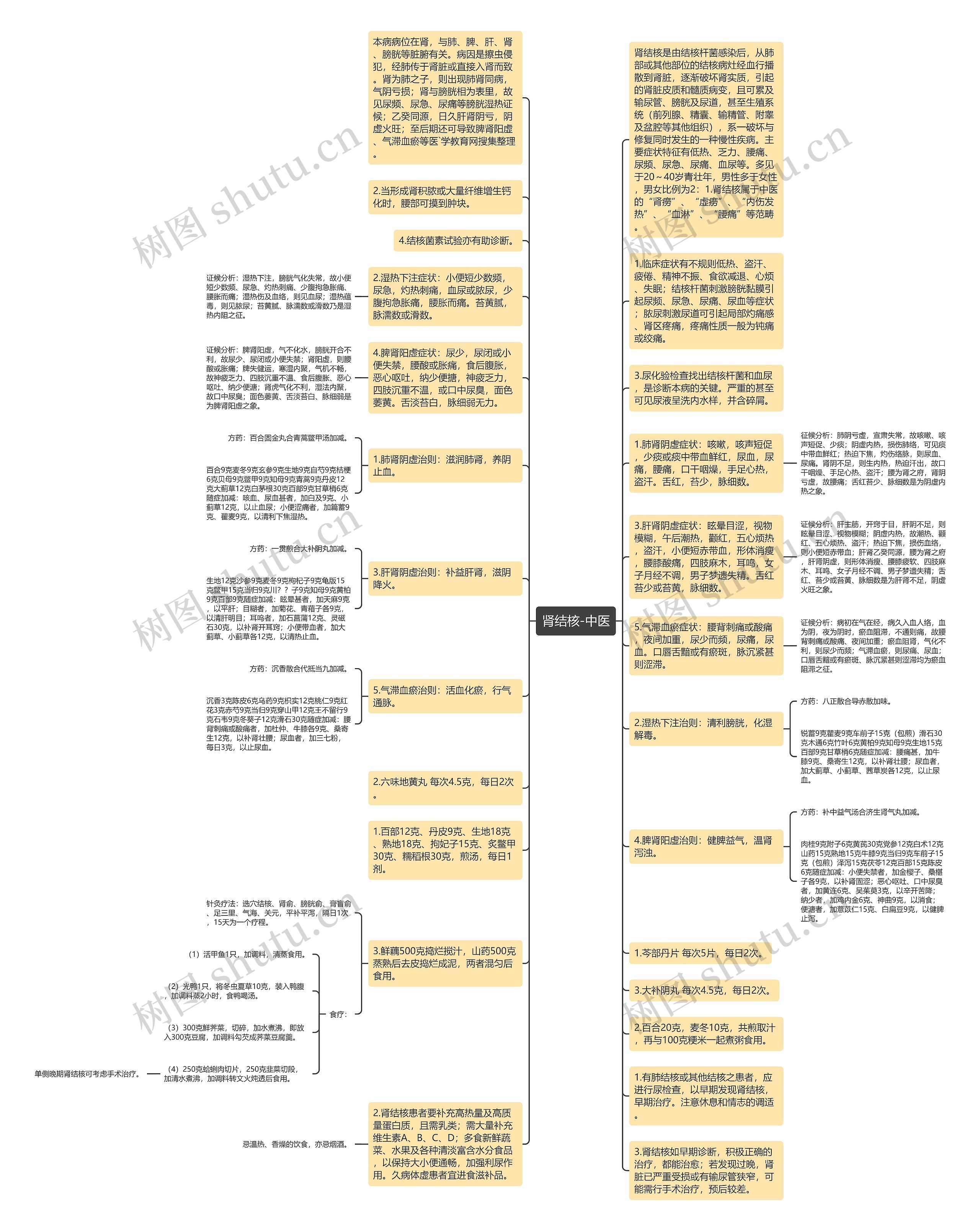 肾结核-中医思维导图