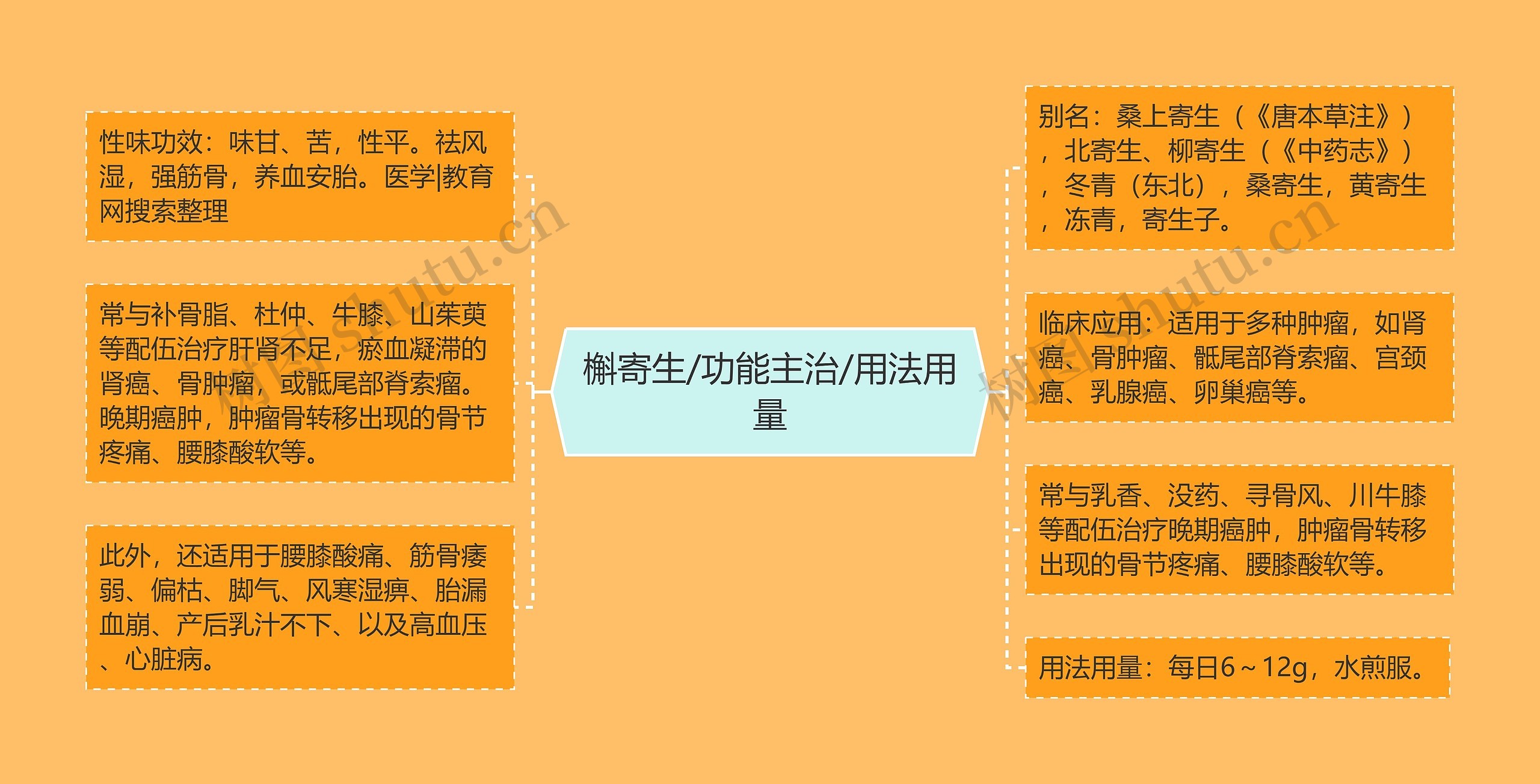 槲寄生/功能主治/用法用量 槲寄生/功能主治/用法用量