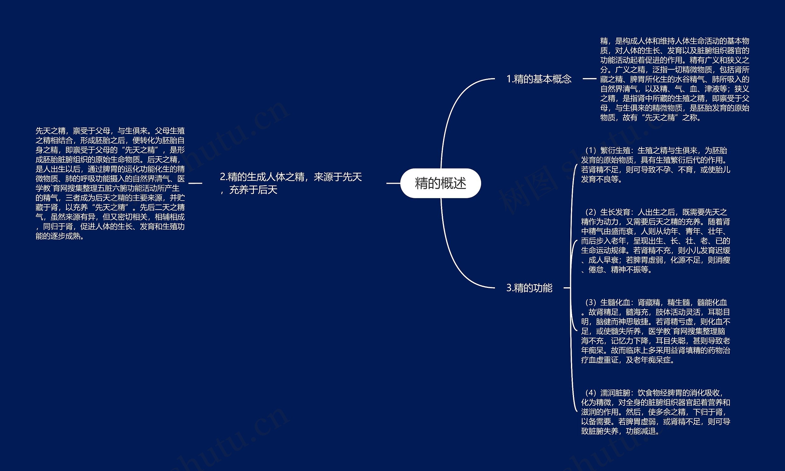 精的概述思维导图