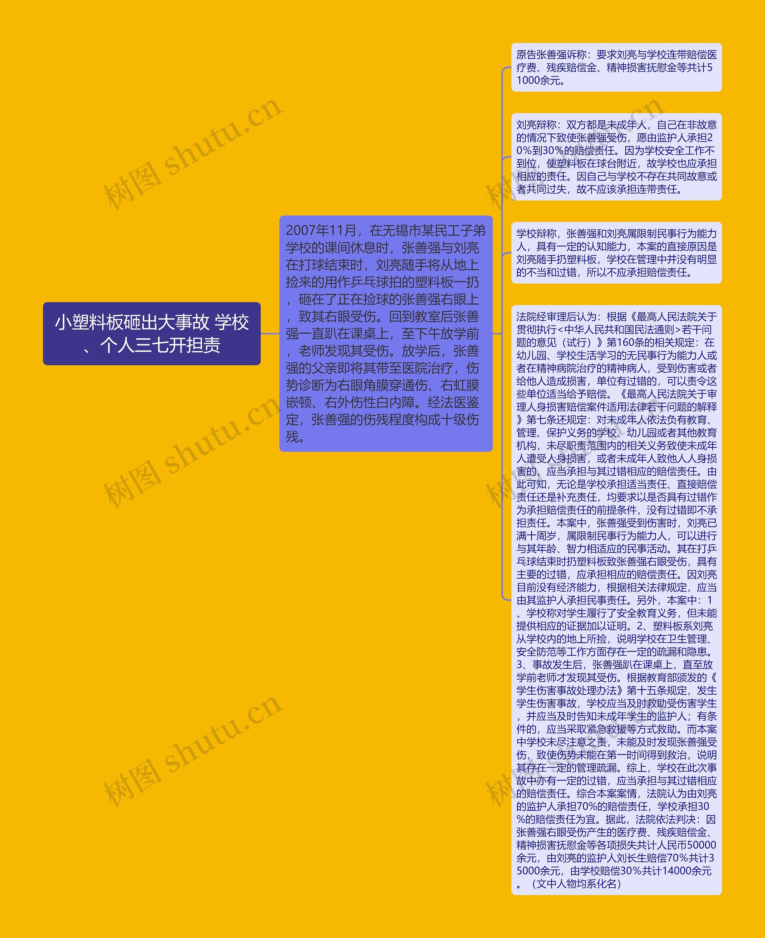 小塑料板砸出大事故 学校、个人三七开担责