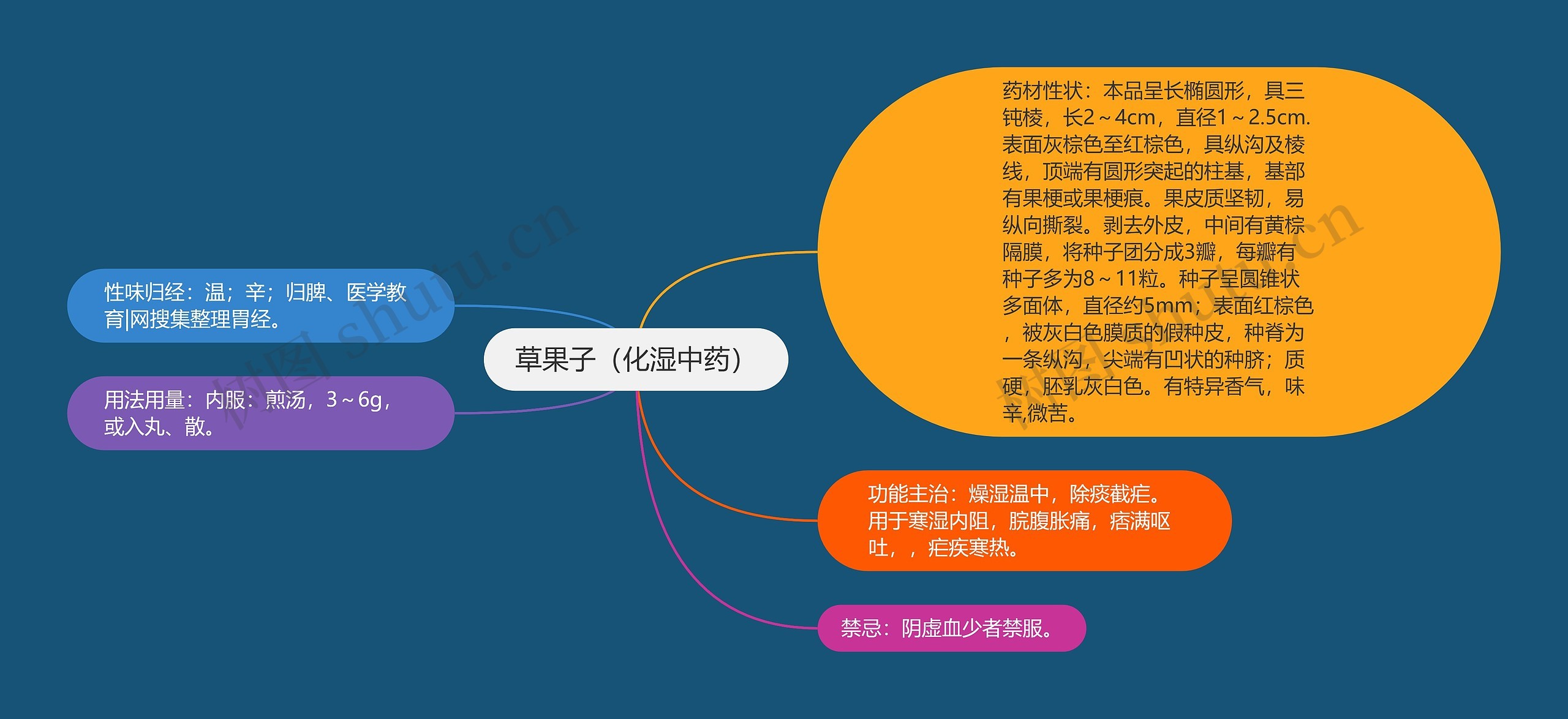 草果子（化湿中药）思维导图