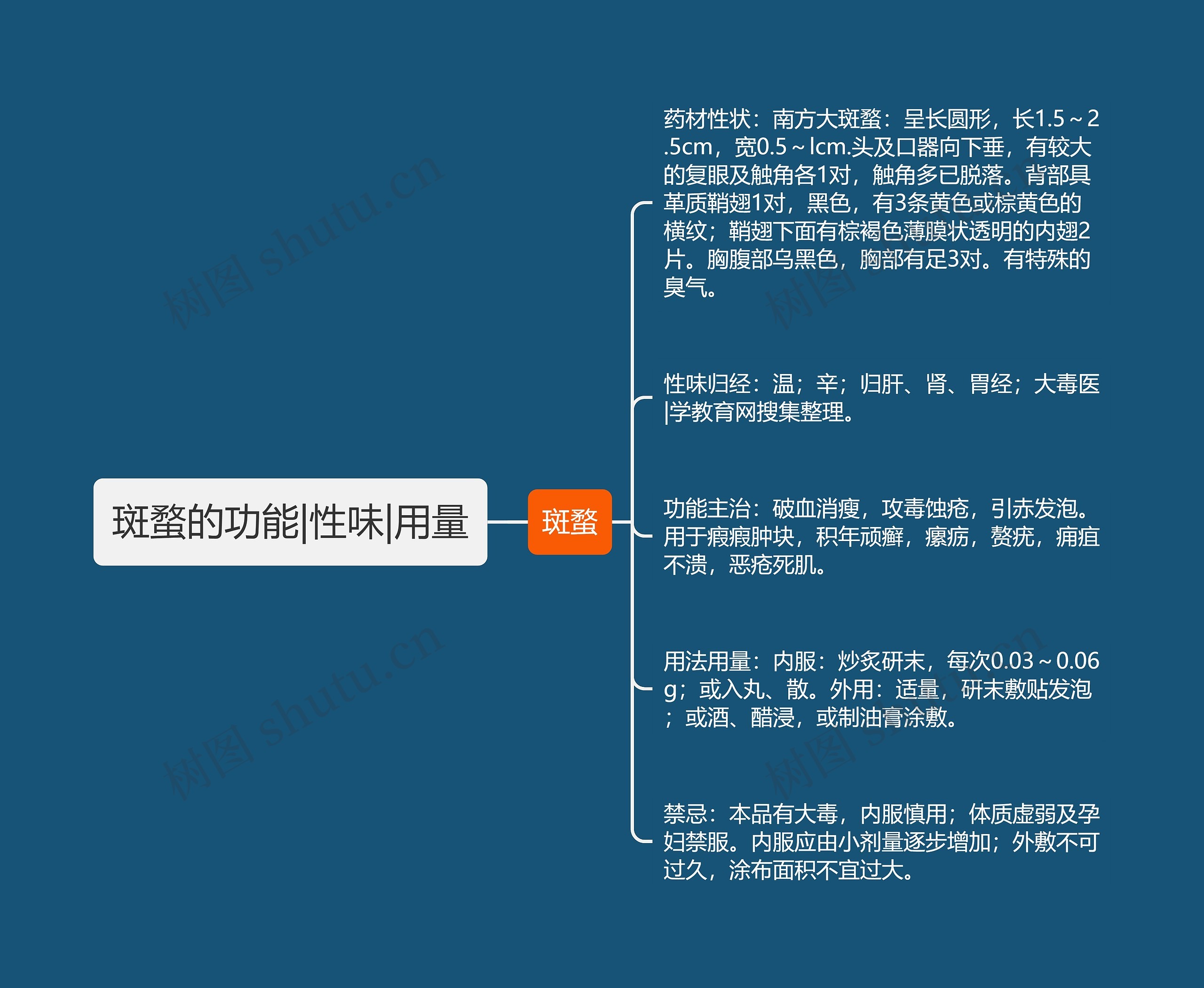 斑蝥的功能|性味|用量思维导图