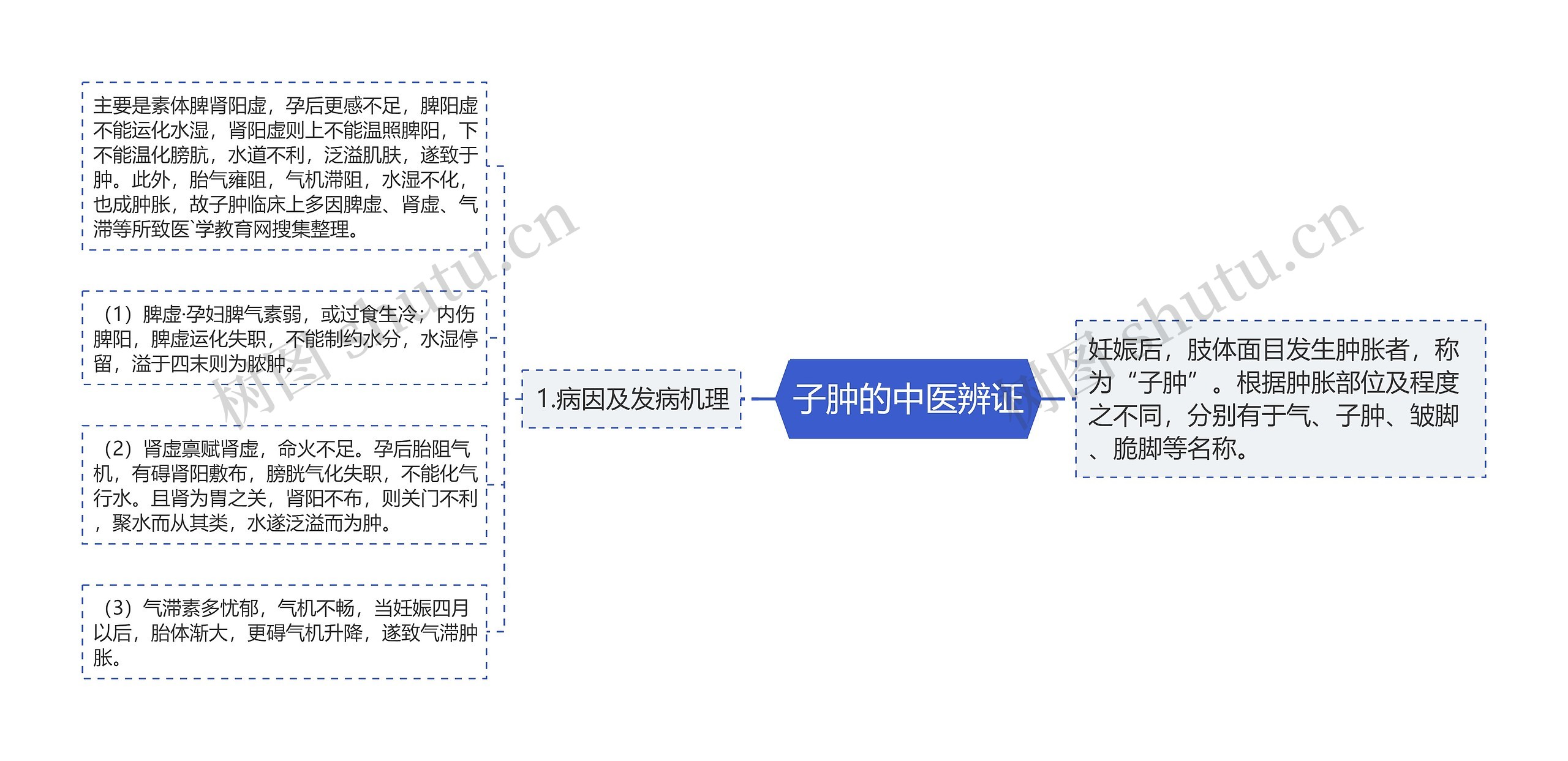 子肿的中医辨证