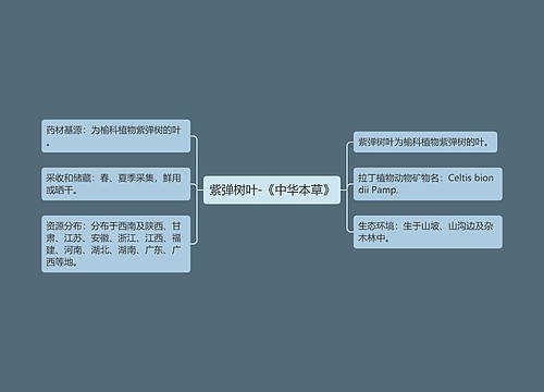 紫弹树叶-《中华本草》