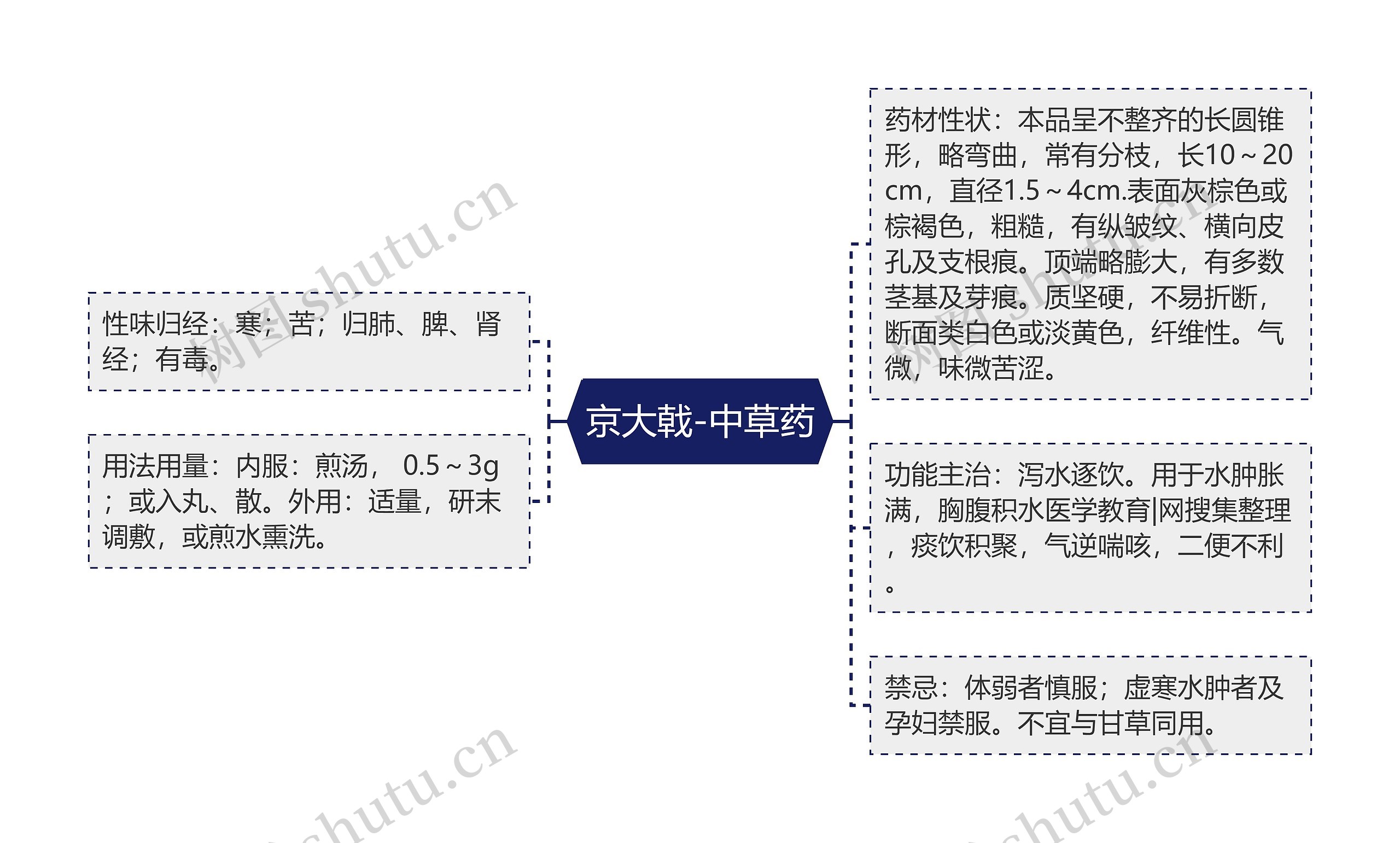 京大戟-中草药思维导图