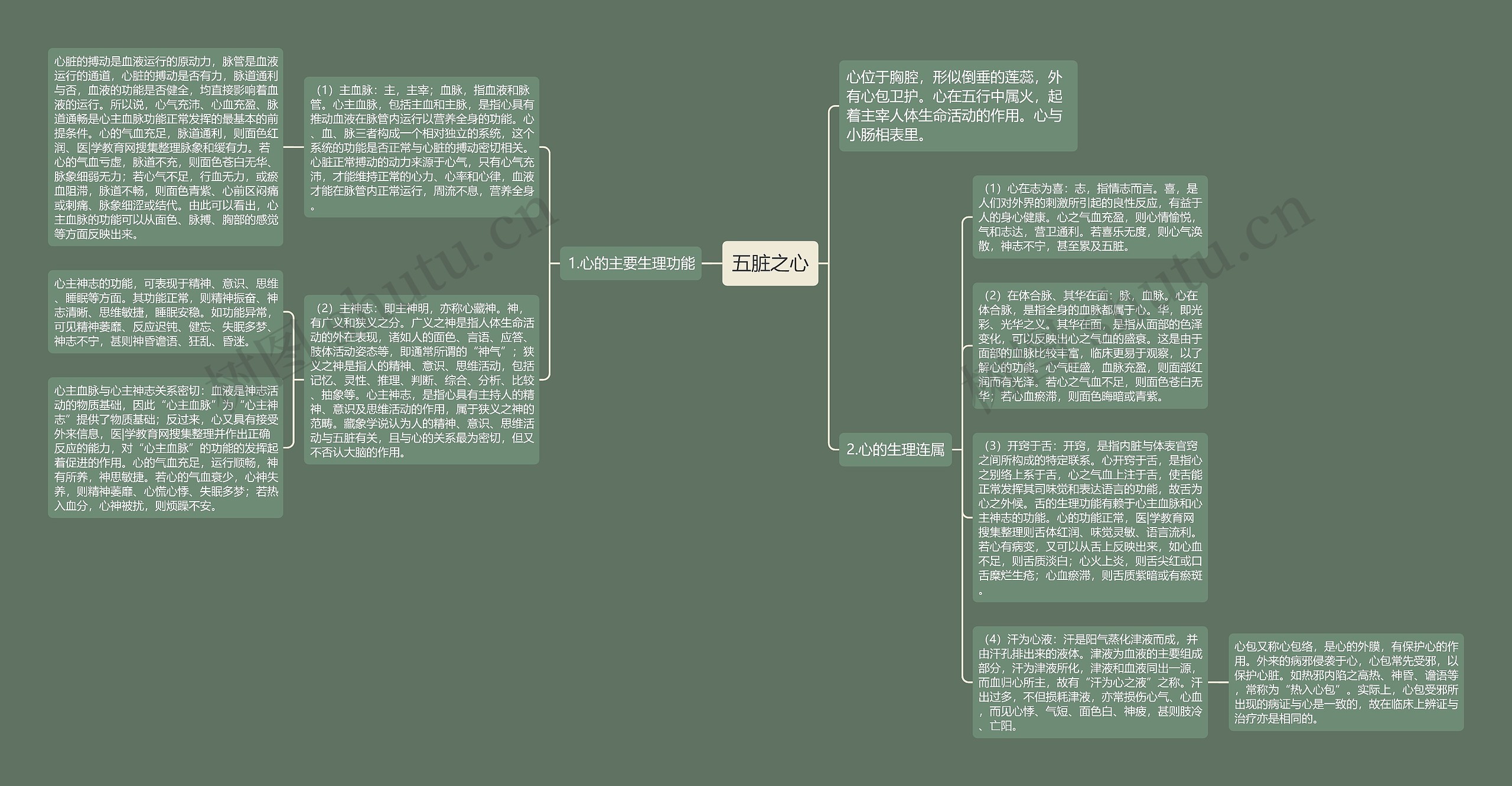 五脏之心思维导图