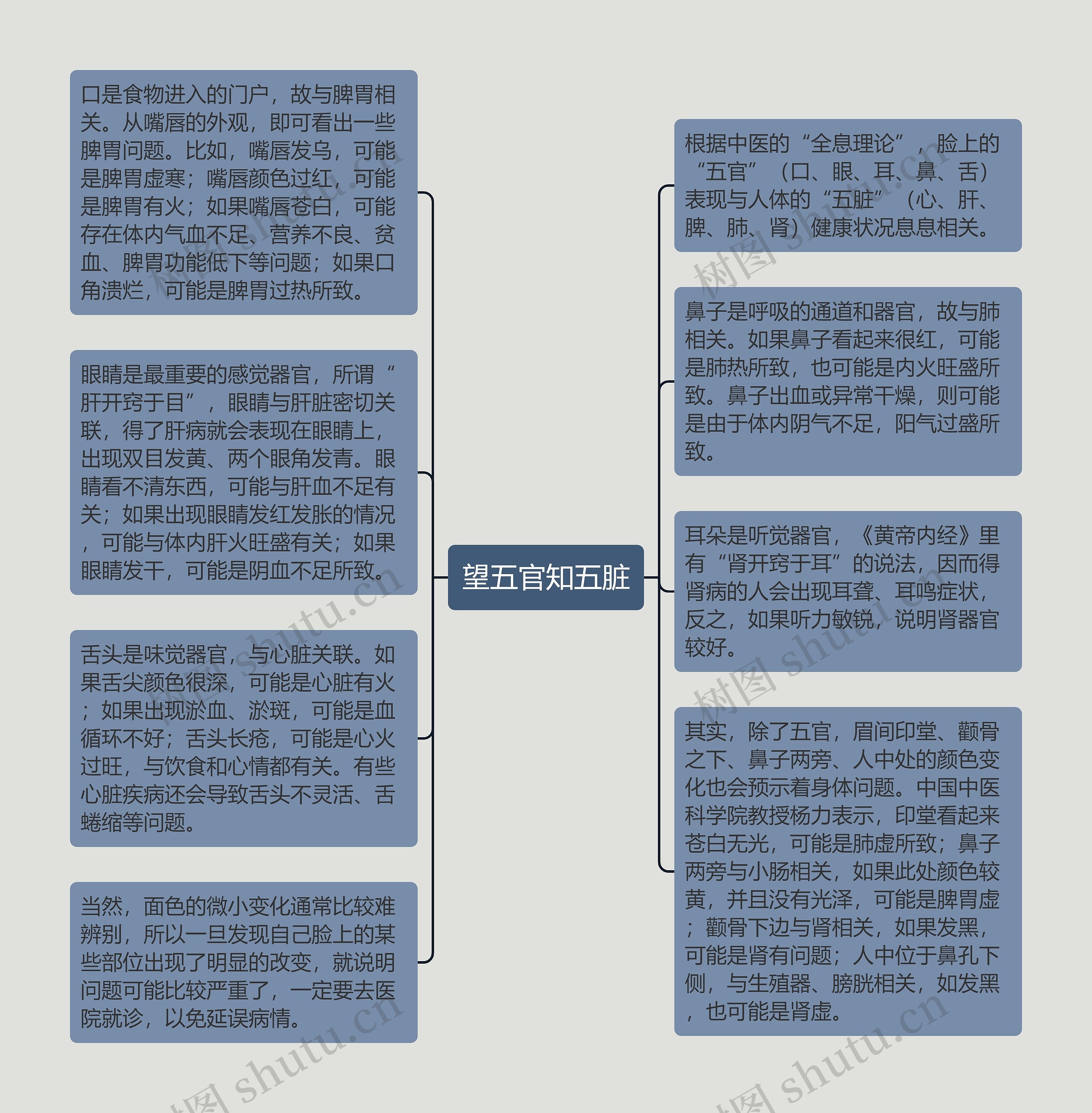 望五官知五脏思维导图