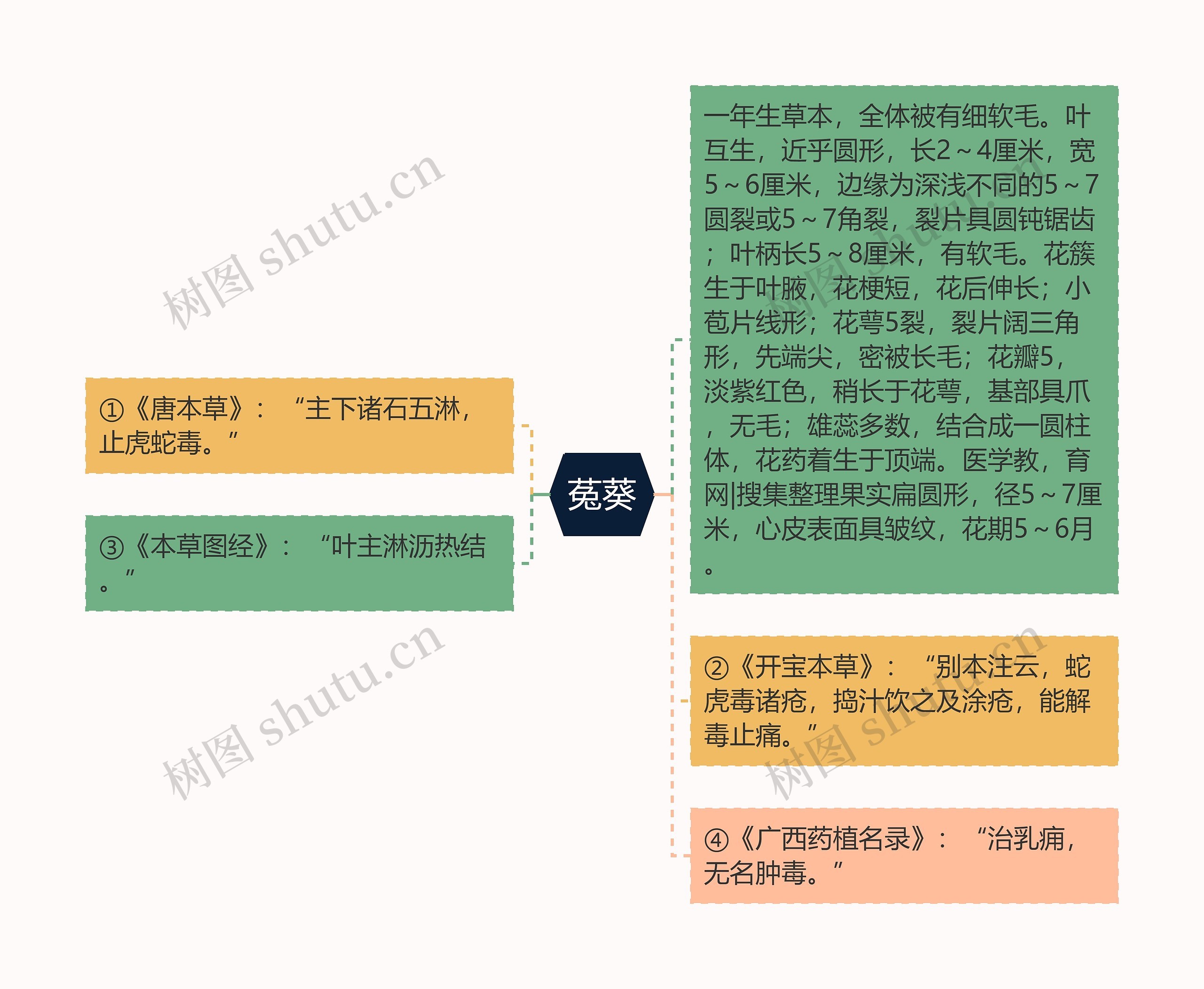 菟葵思维导图