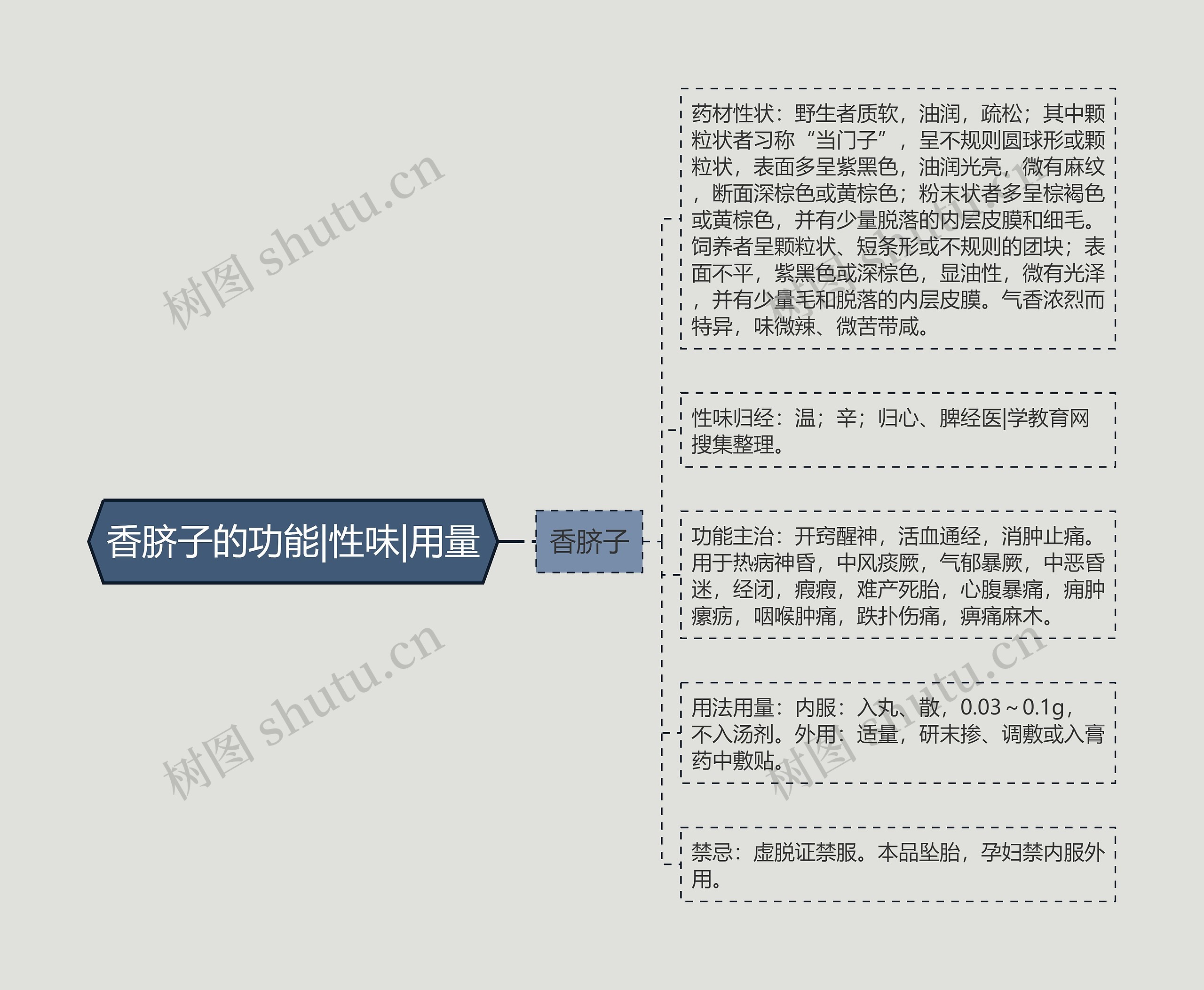 香脐子的功能|性味|用量 香脐子的功能|性味|用量