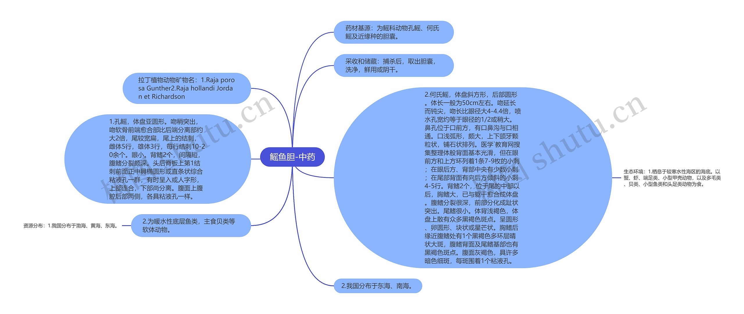 鳐鱼胆-中药思维导图