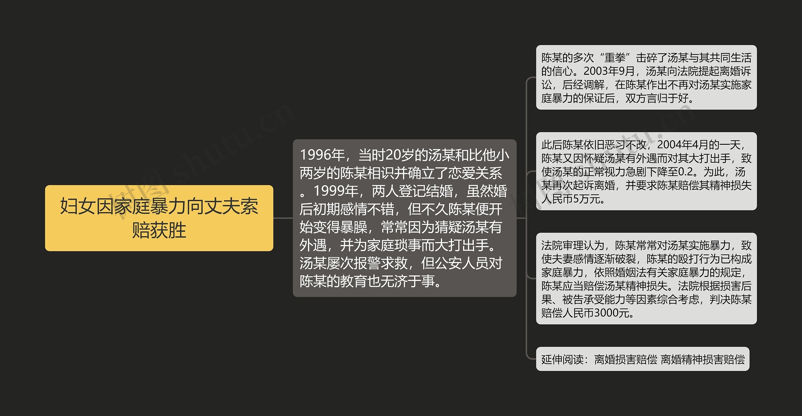 妇女因家庭暴力向丈夫索赔获胜思维导图高清图 妇女因家庭暴力向丈夫索赔获胜思维导图