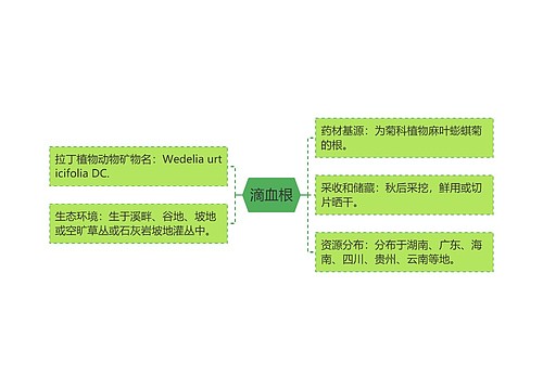 滴血根