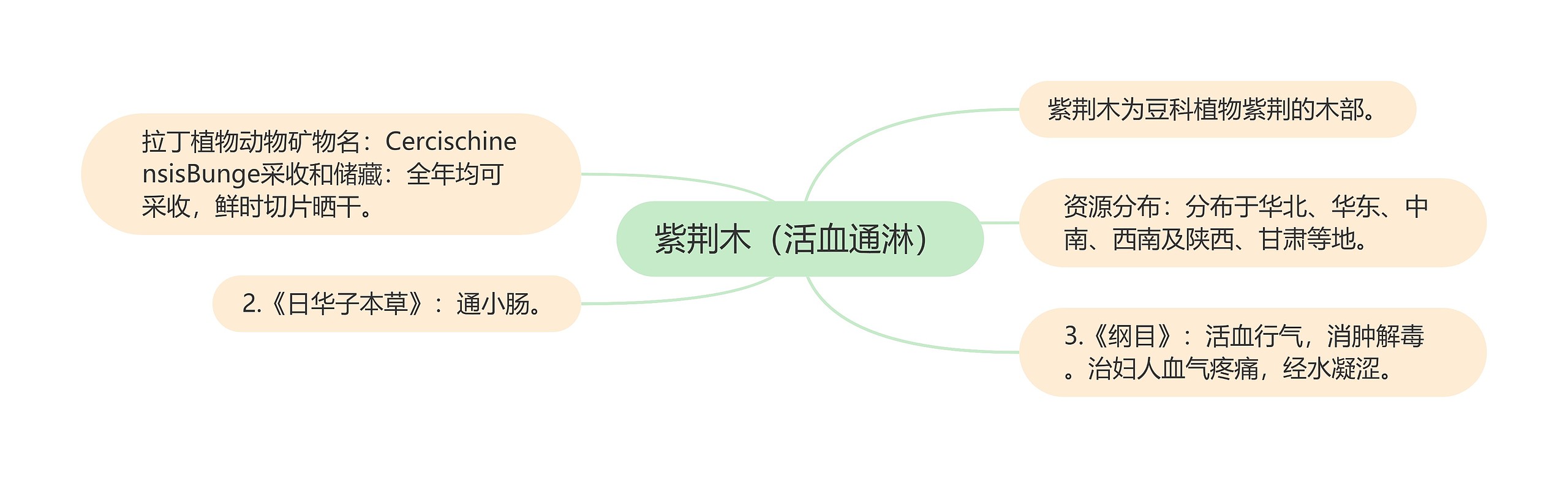 紫荆木（活血通淋）思维导图