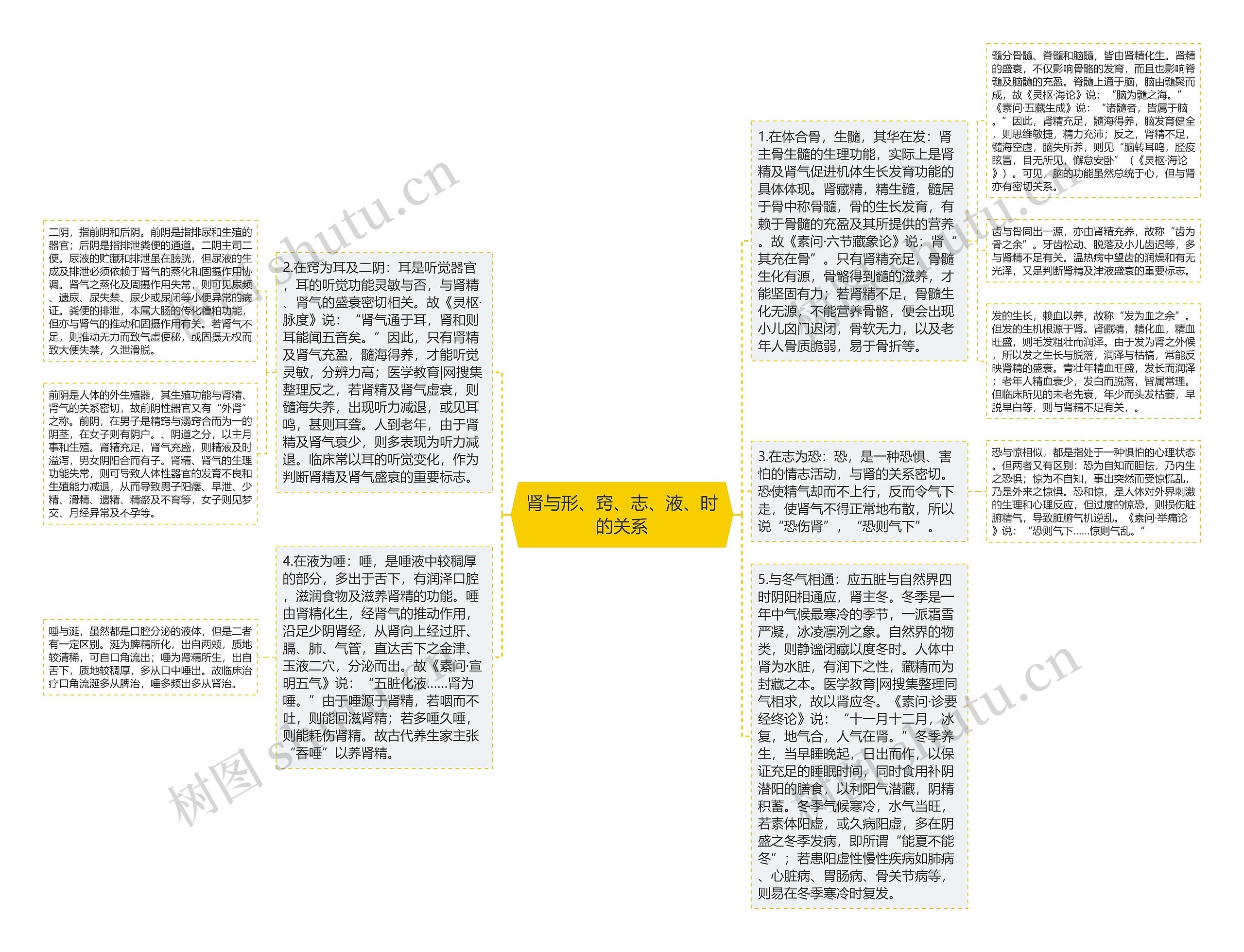 肾与形、窍、志、液、时的关系