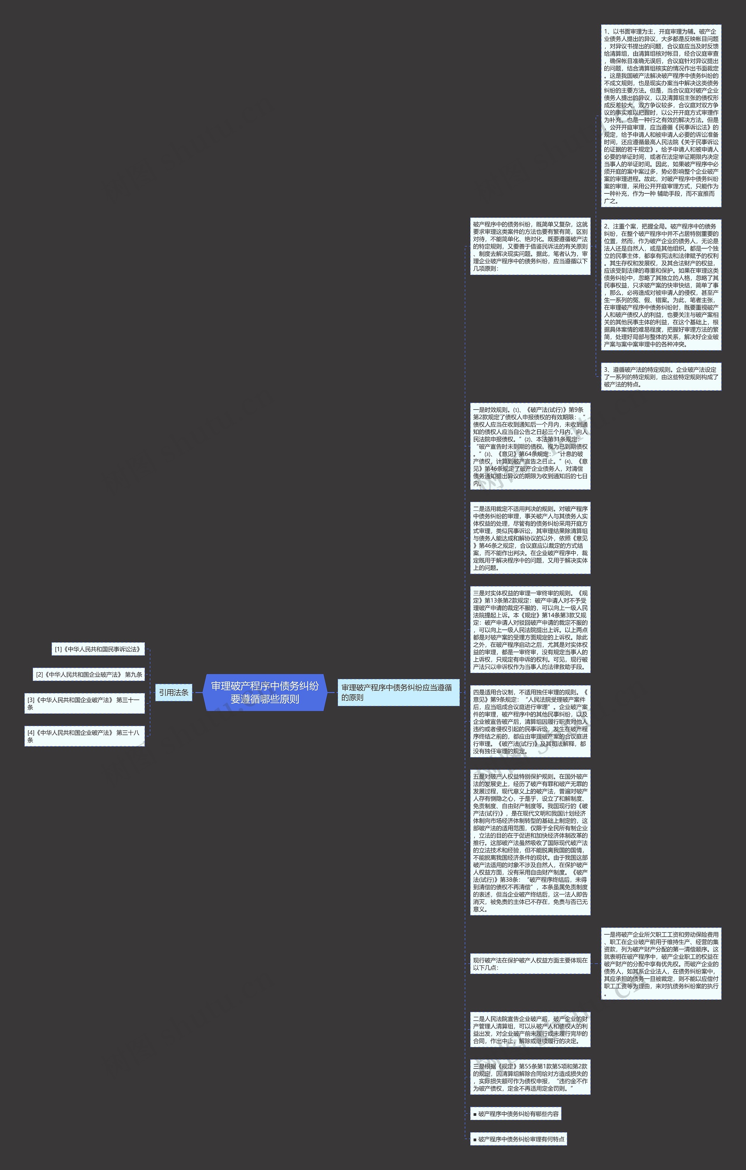 审理破产程序中债务纠纷要遵循哪些原则思维导图