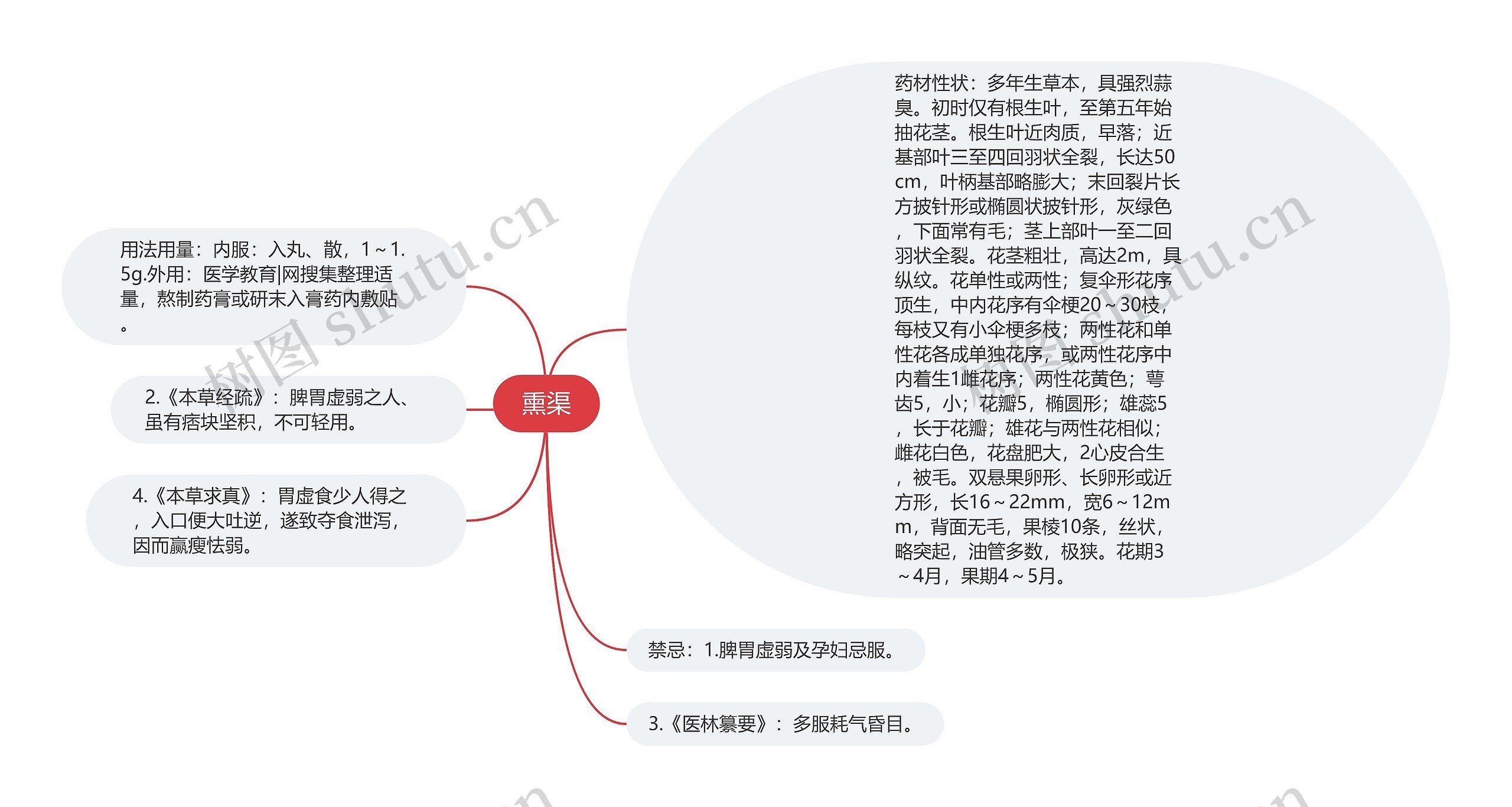 熏渠思维导图