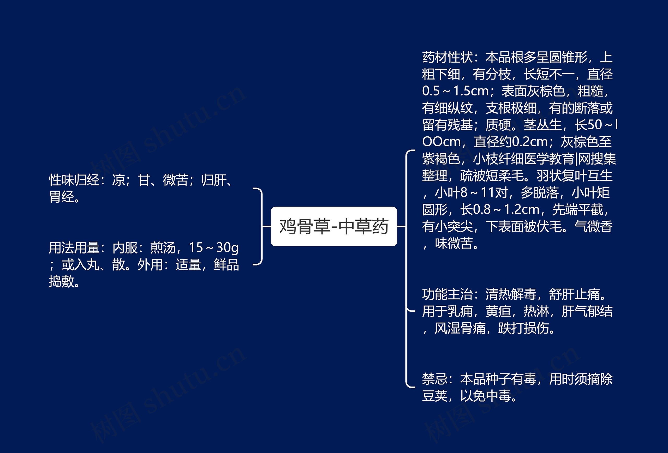 鸡骨草-中草药思维导图