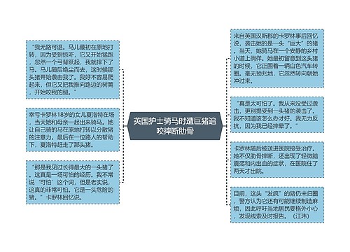 英国护士骑马时遭巨猪追咬摔断肋骨