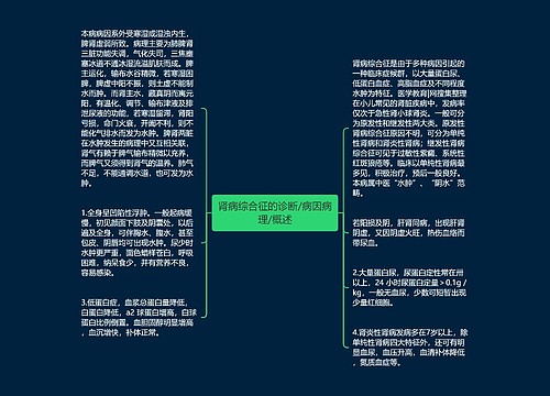 肾病综合征的诊断/病因病理/概述