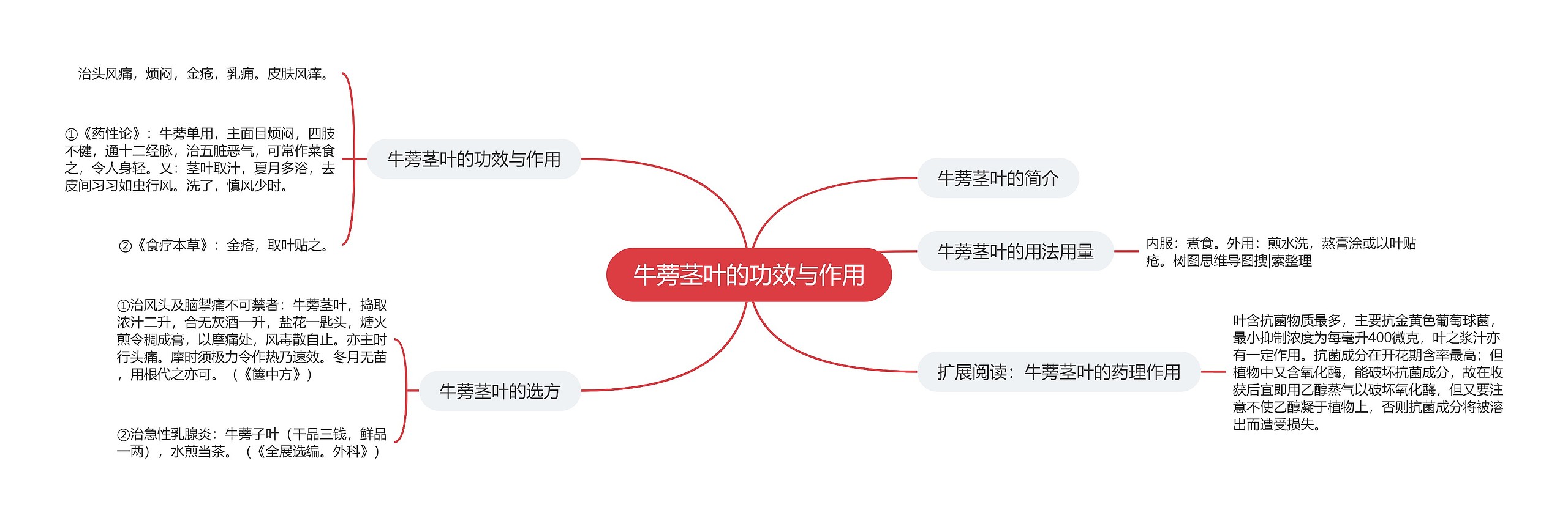 牛蒡茎叶的功效与作用 牛蒡茎叶的功效与作用