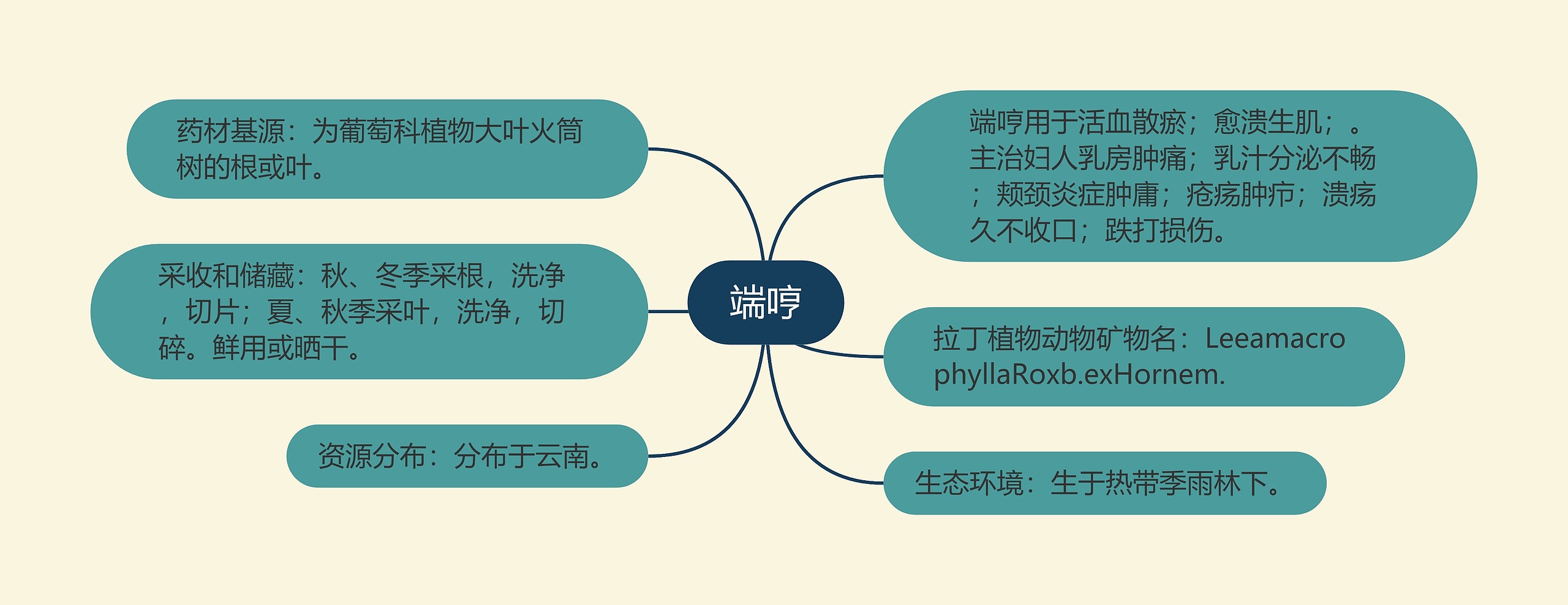 端哼思维导图