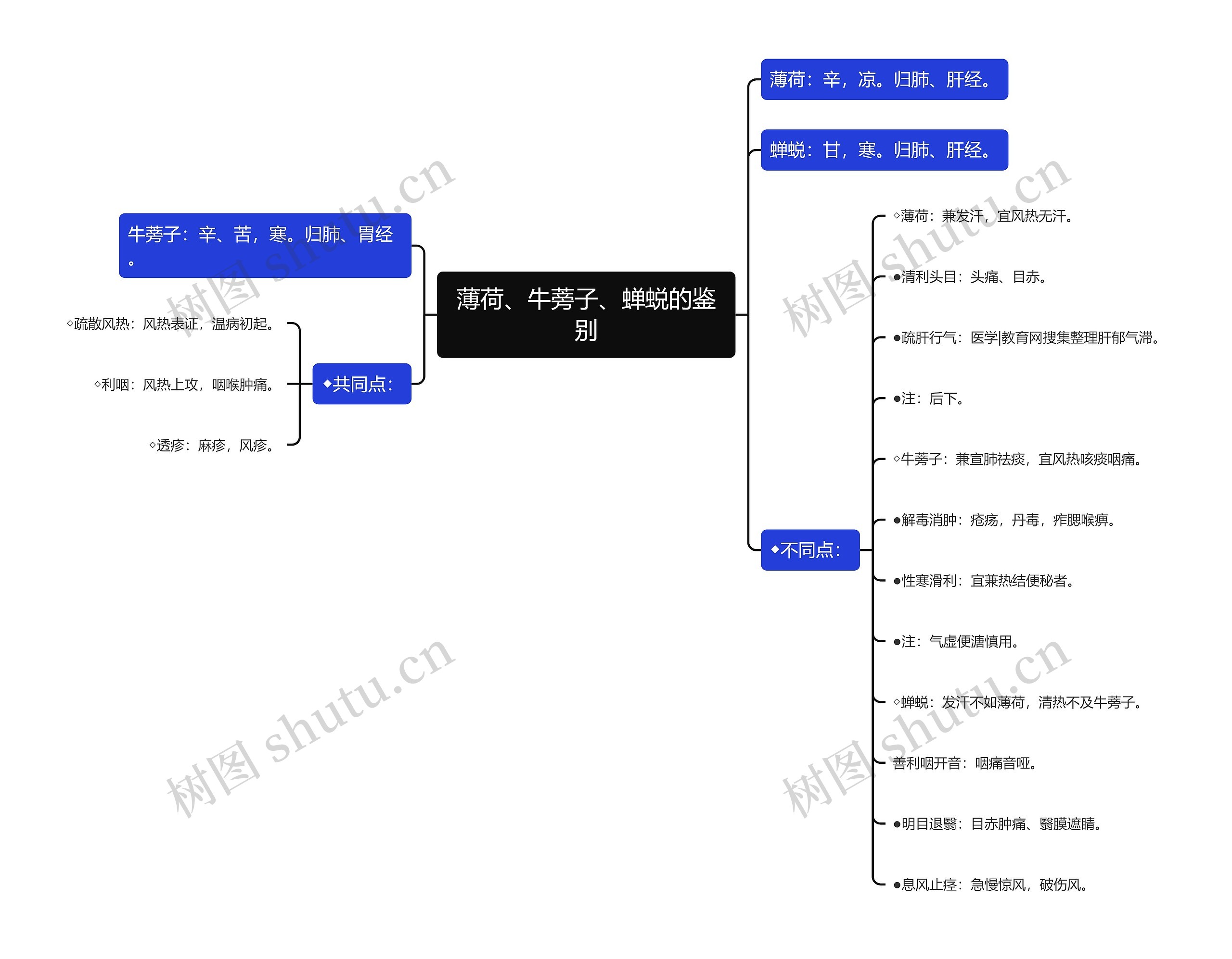 薄荷、牛蒡子、蝉蜕的鉴别思维导图