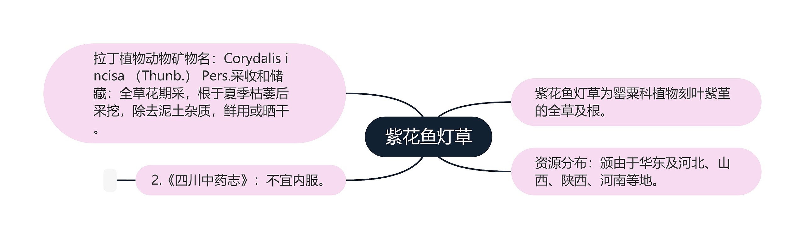 紫花鱼灯草思维导图