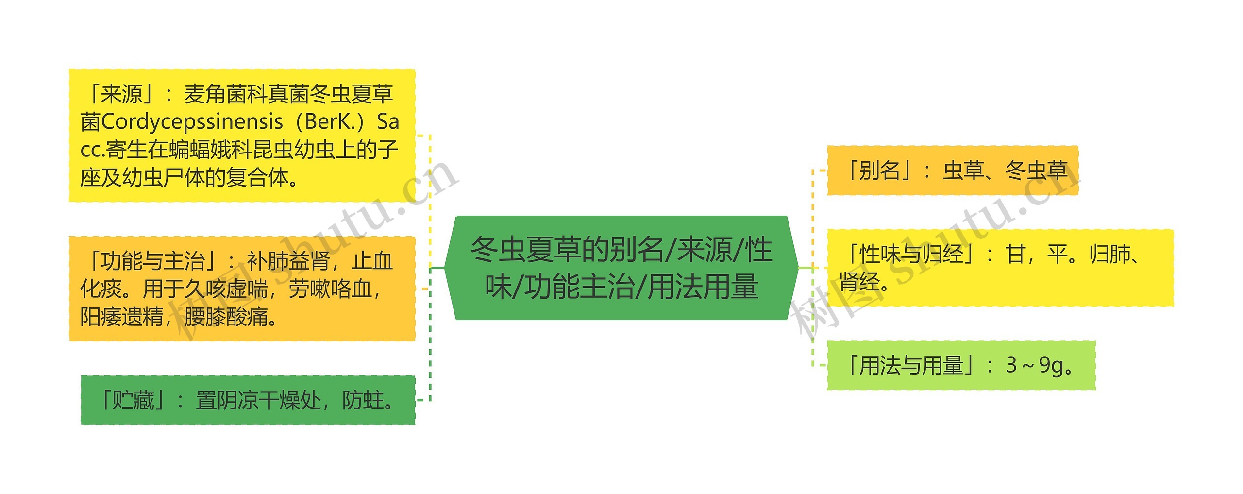 冬虫夏草的别名/来源/性味/功能主治/用法用量思维导图