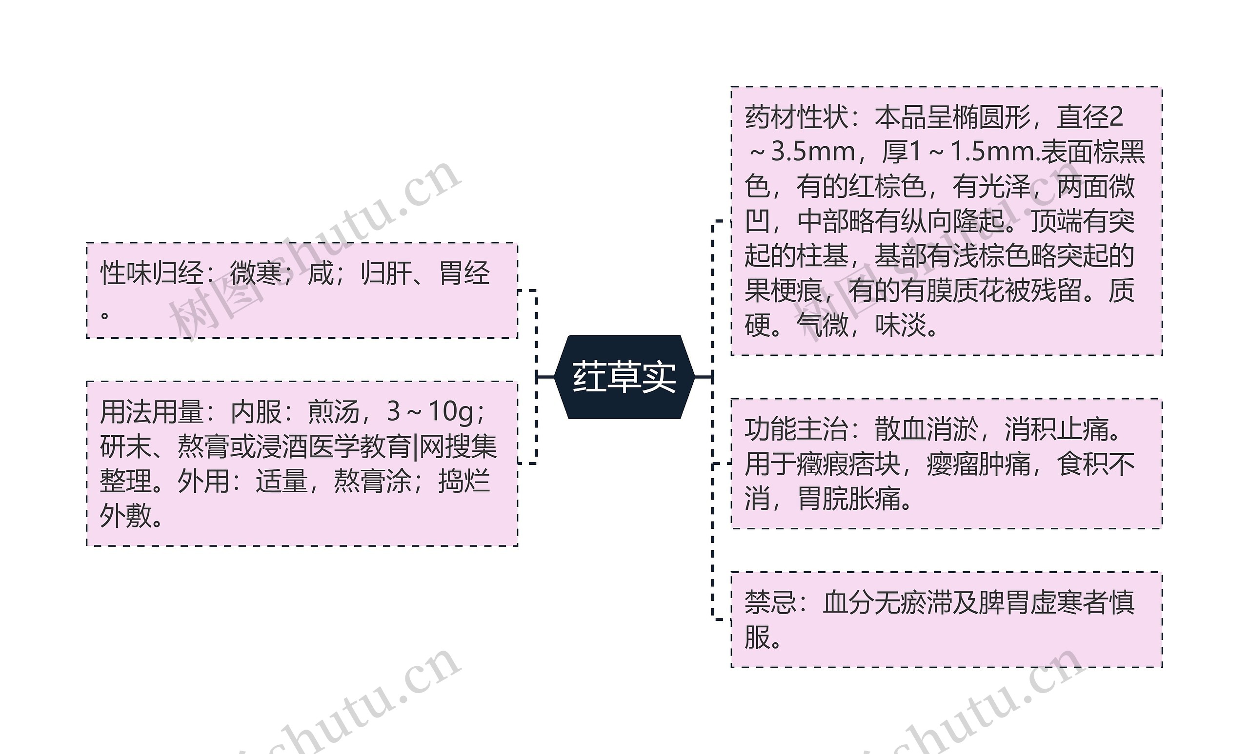 荭草实思维导图