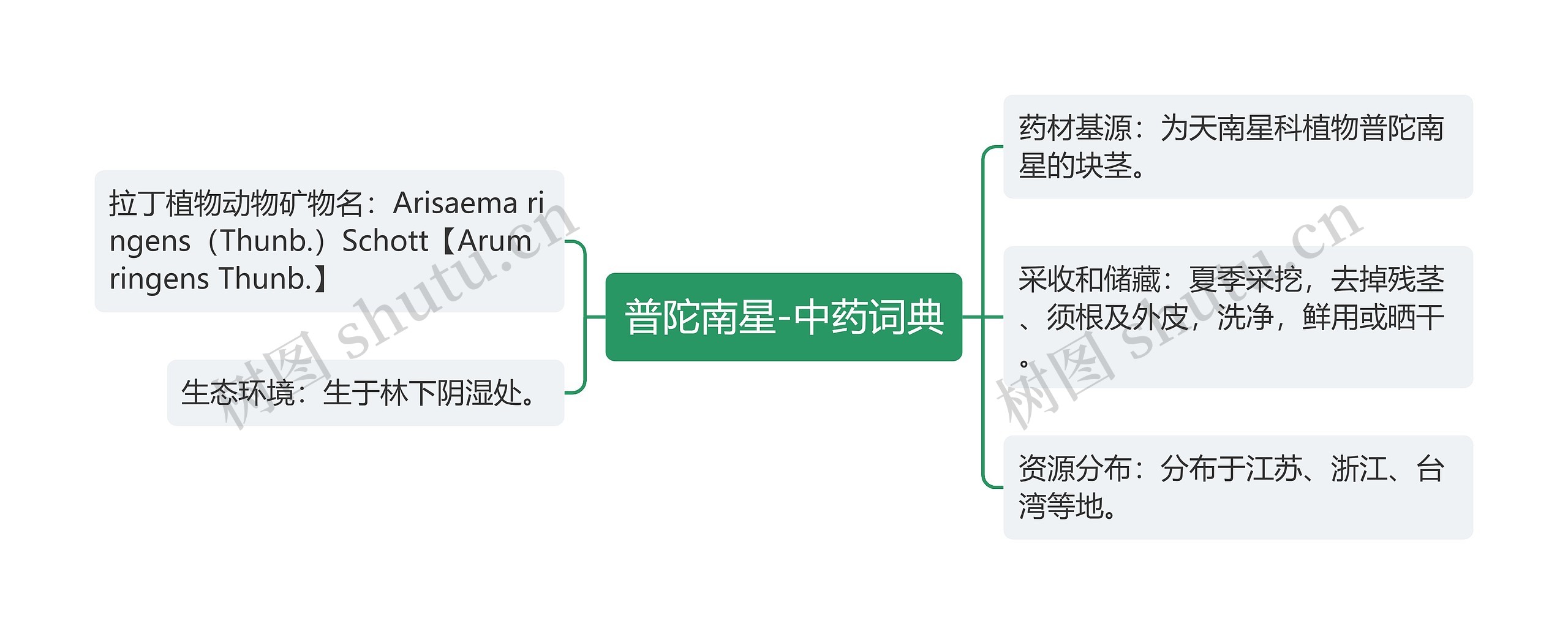 普陀南星-中药词典