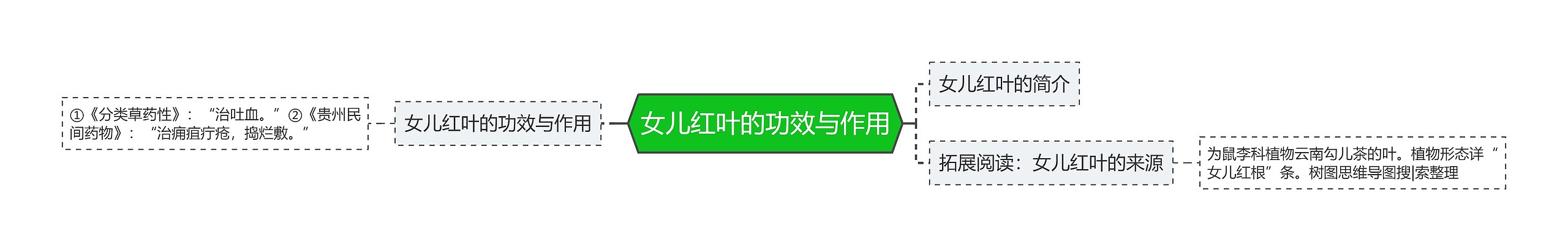 女儿红叶的功效与作用思维导图