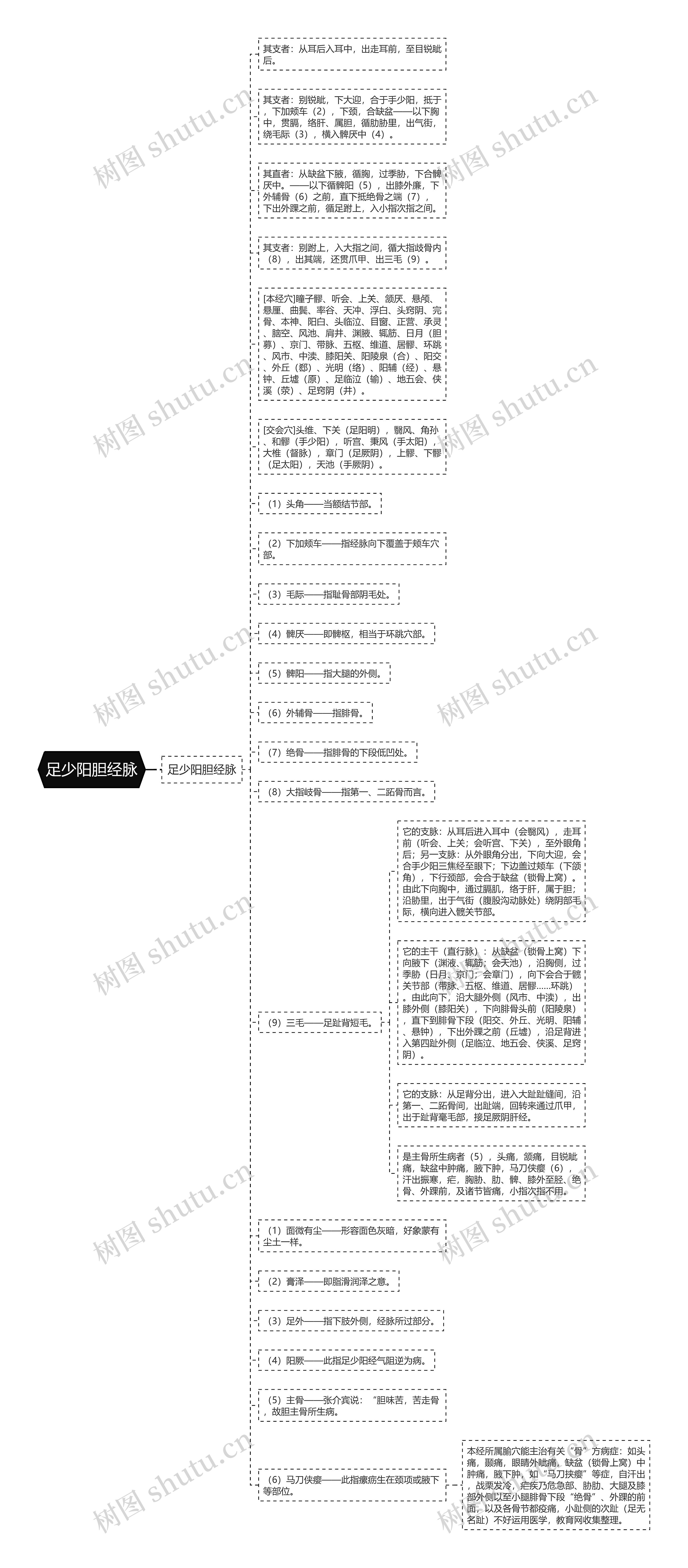 足少阳胆经脉思维导图