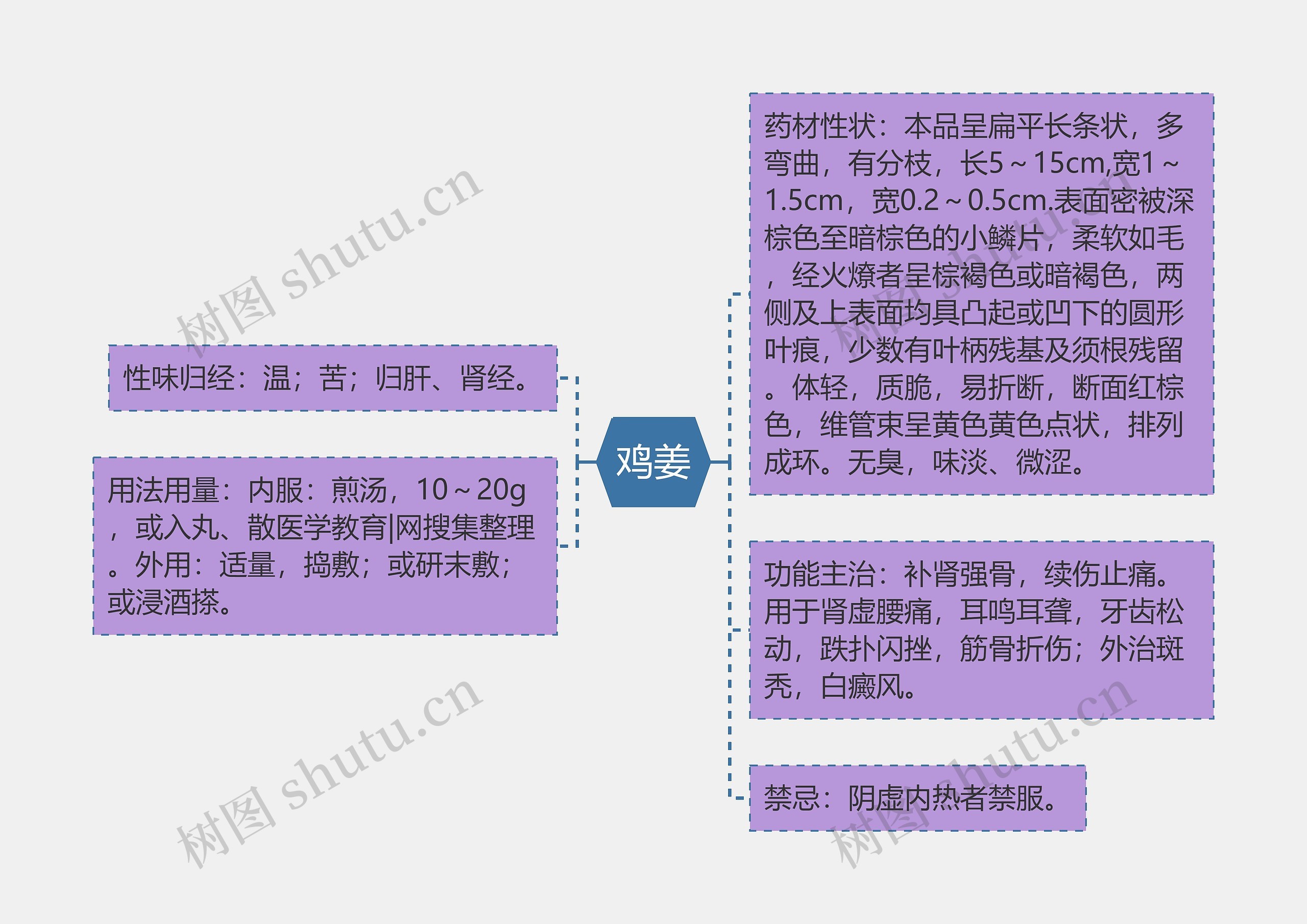 鸡姜思维导图