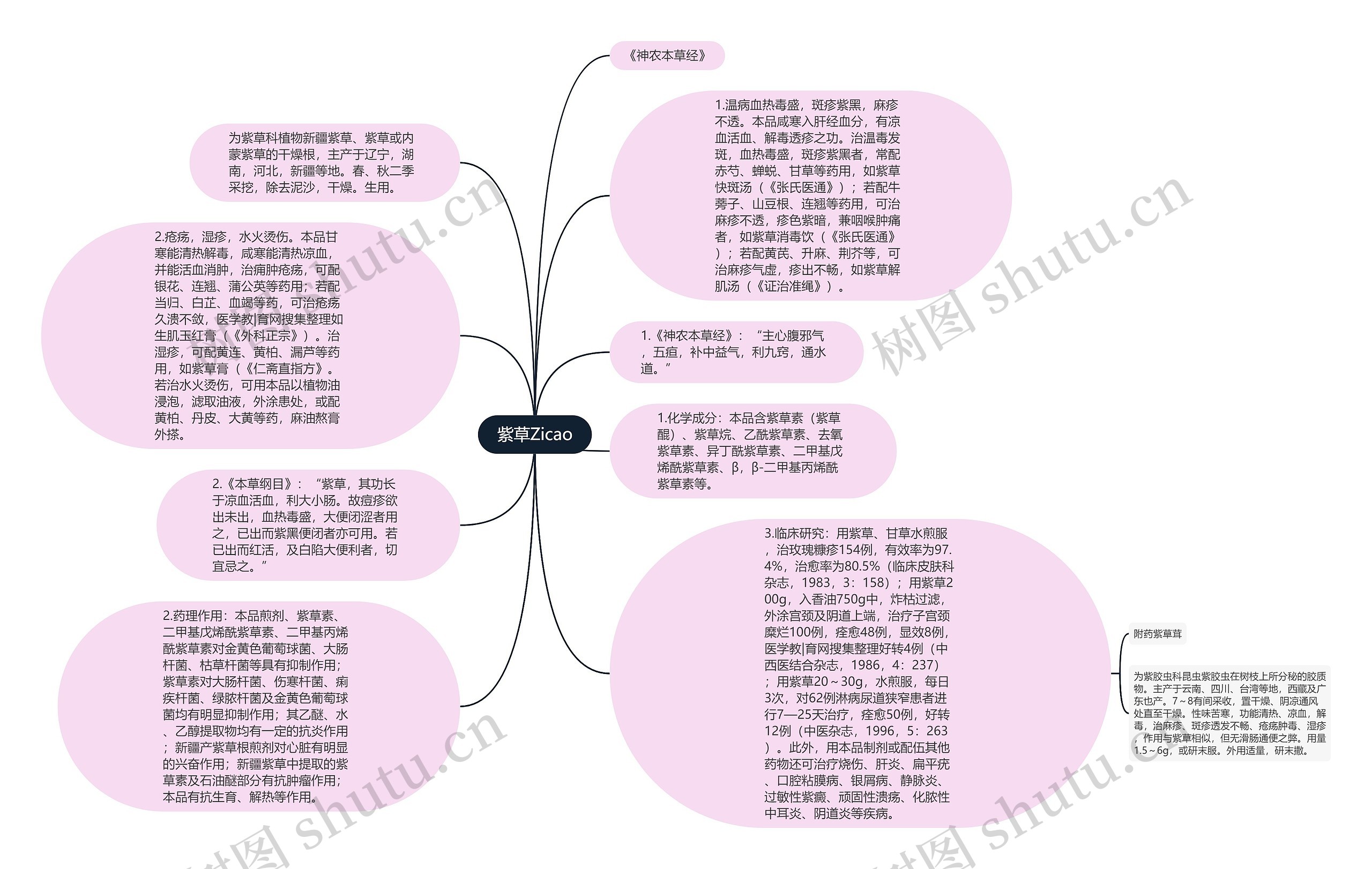 紫草Zicao思维导图