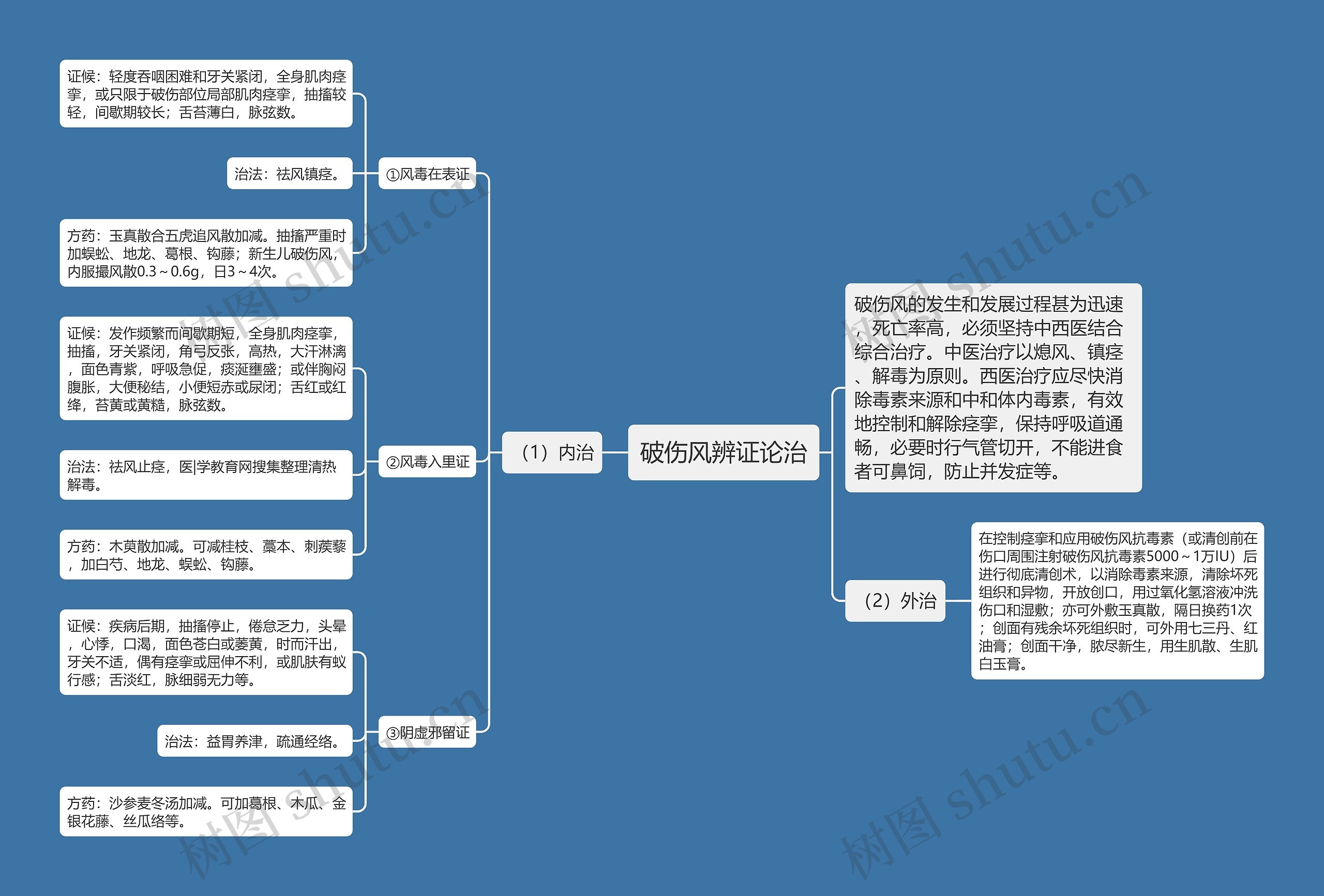 破伤风辨证论治思维导图