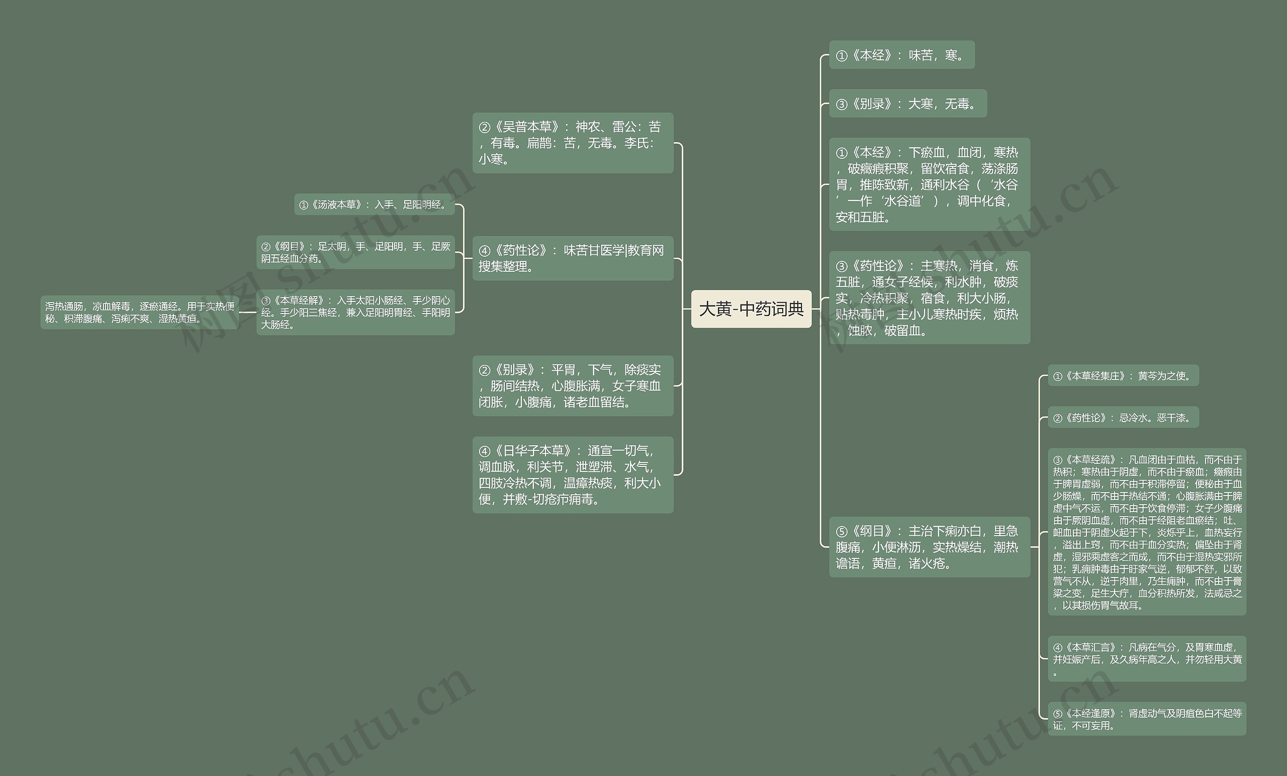大黄-中药词典思维导图