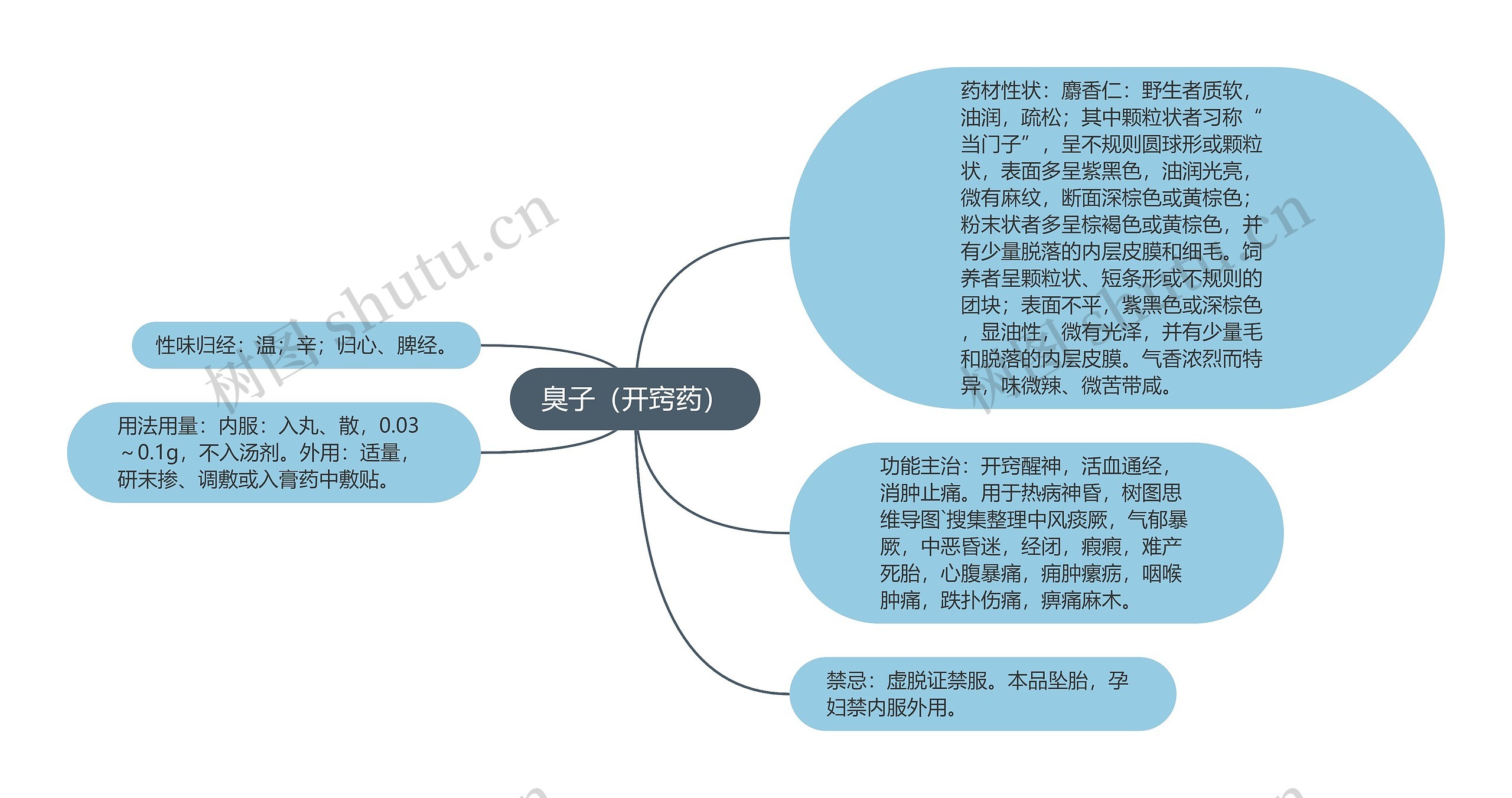 臭子(开窍药)思维导图高清图 臭子(开窍药)思维导图