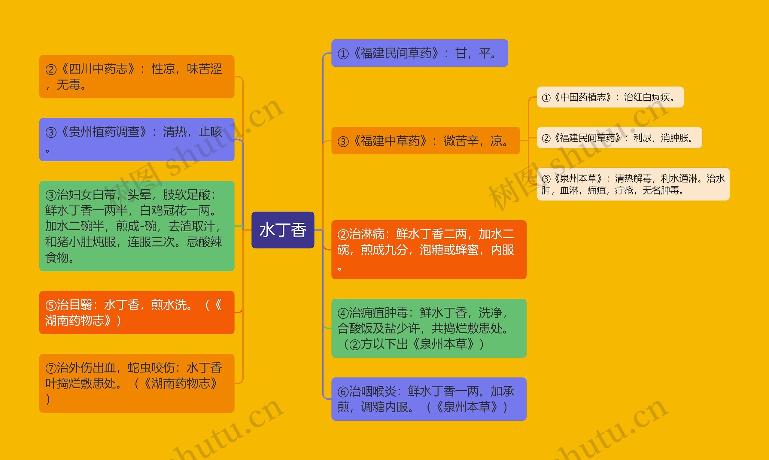 水丁香思维导图