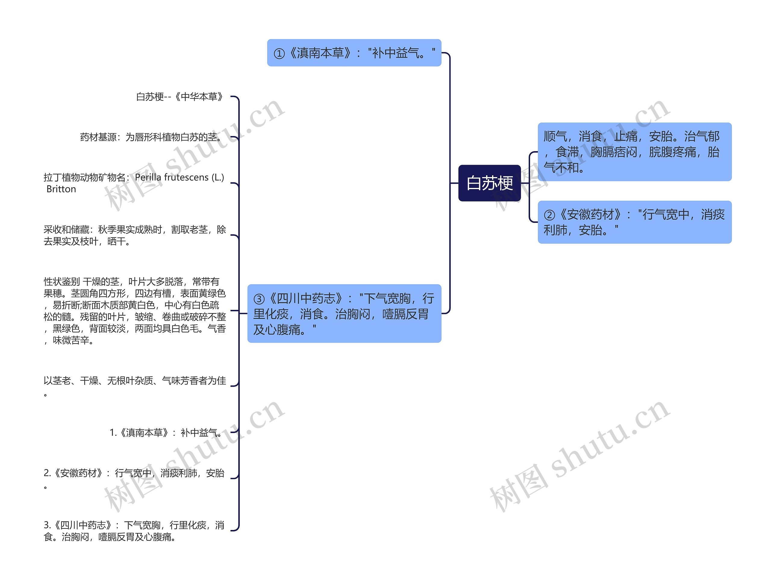 白苏梗思维导图