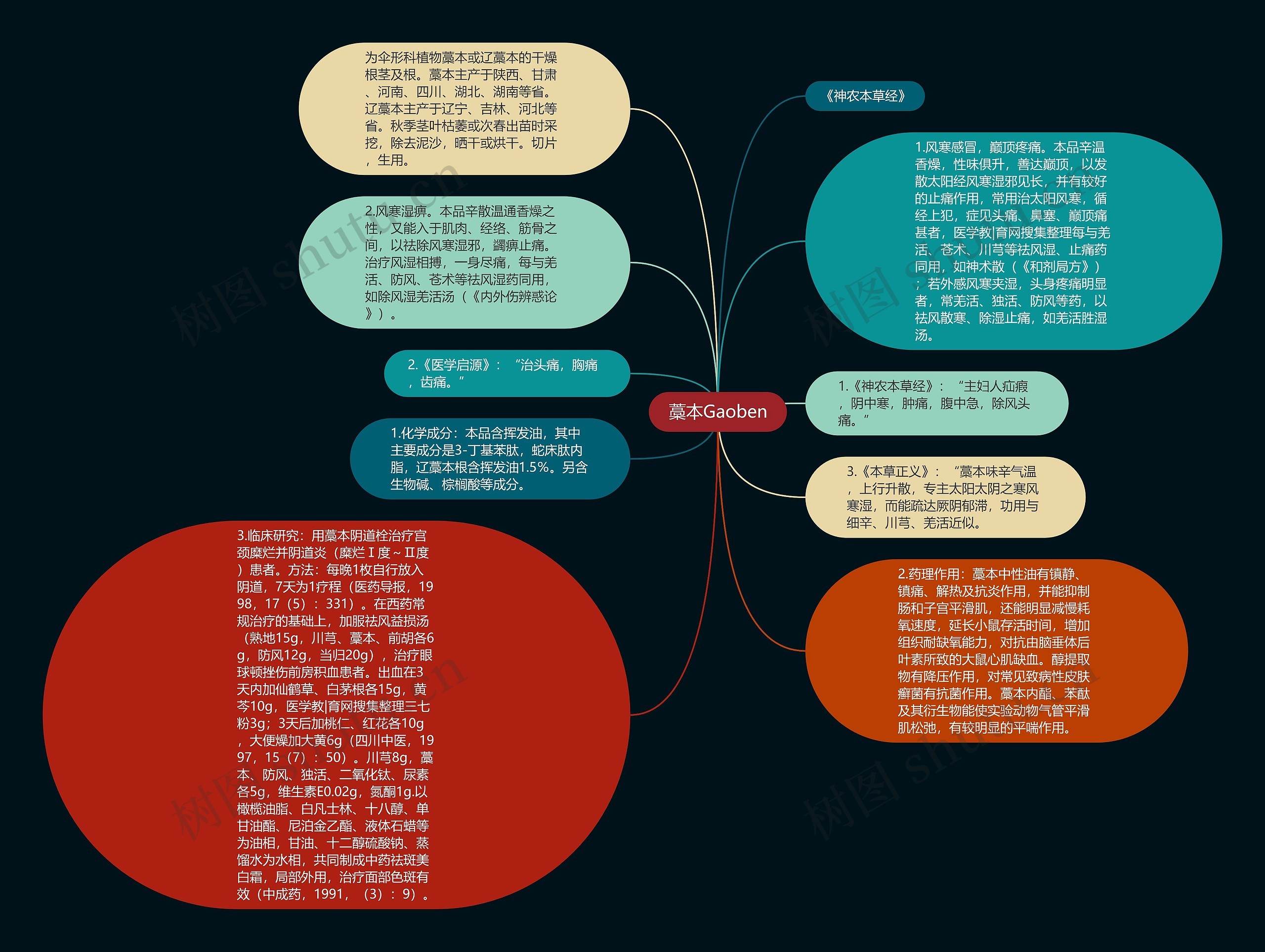 藁本Gaoben思维导图