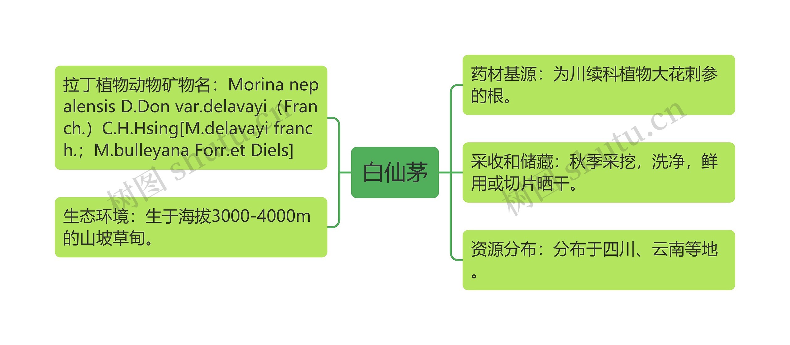 白仙茅思维导图