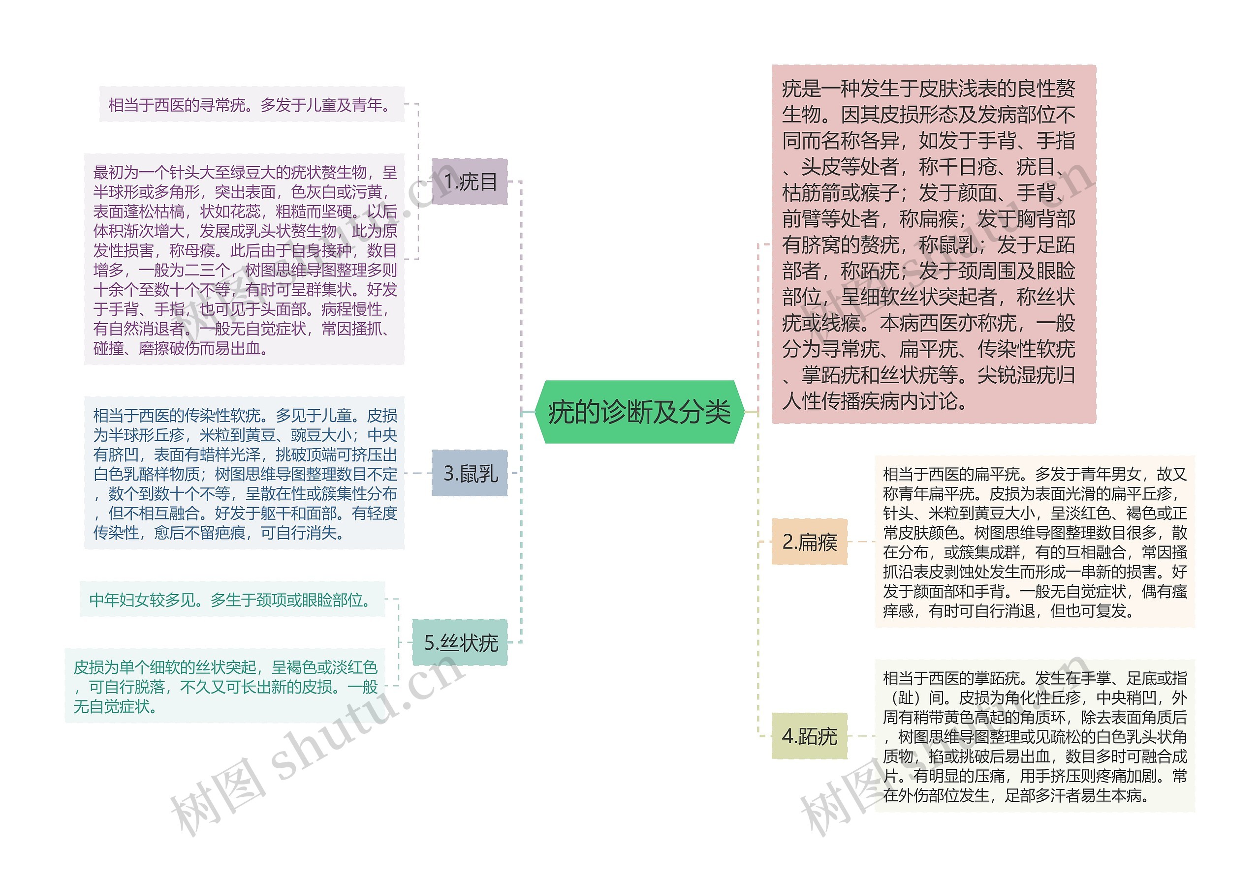 疣的诊断及分类