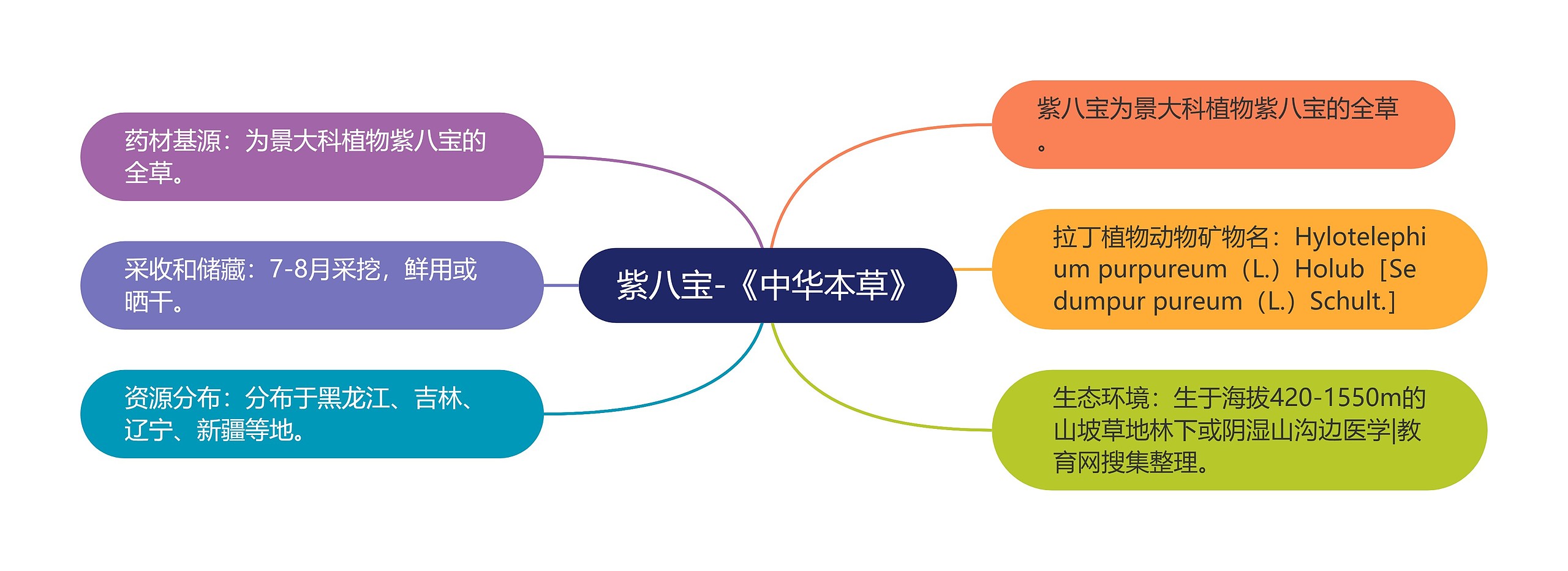 紫八宝-《中华本草》 紫八宝-《中华本草》