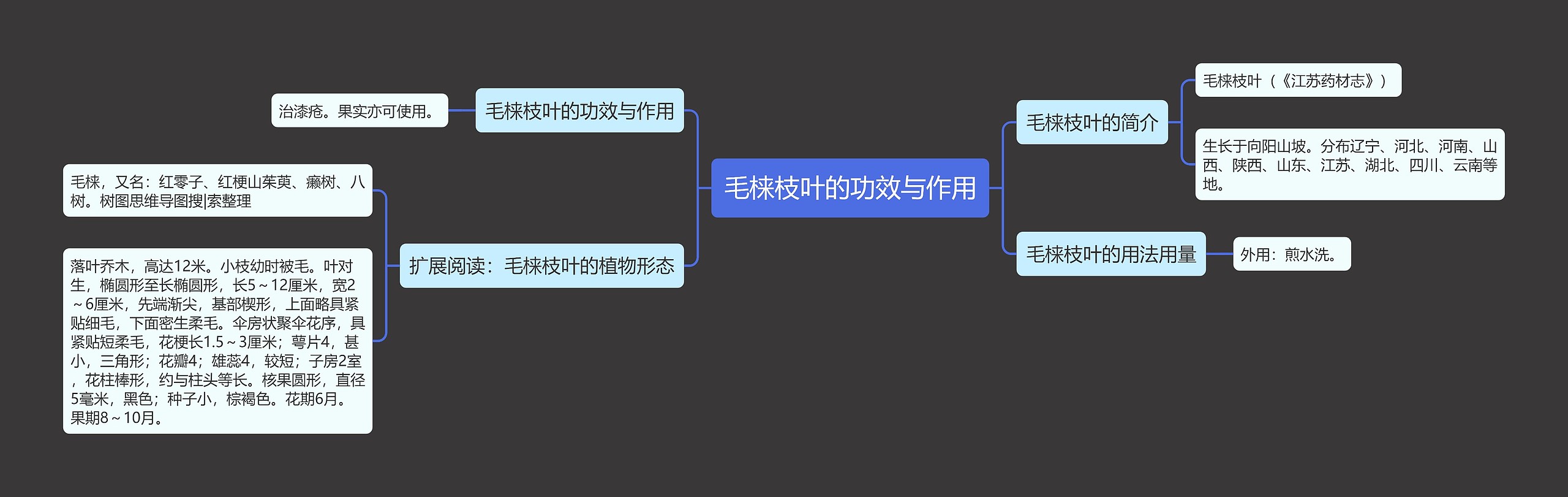 毛梾枝叶的功效与作用