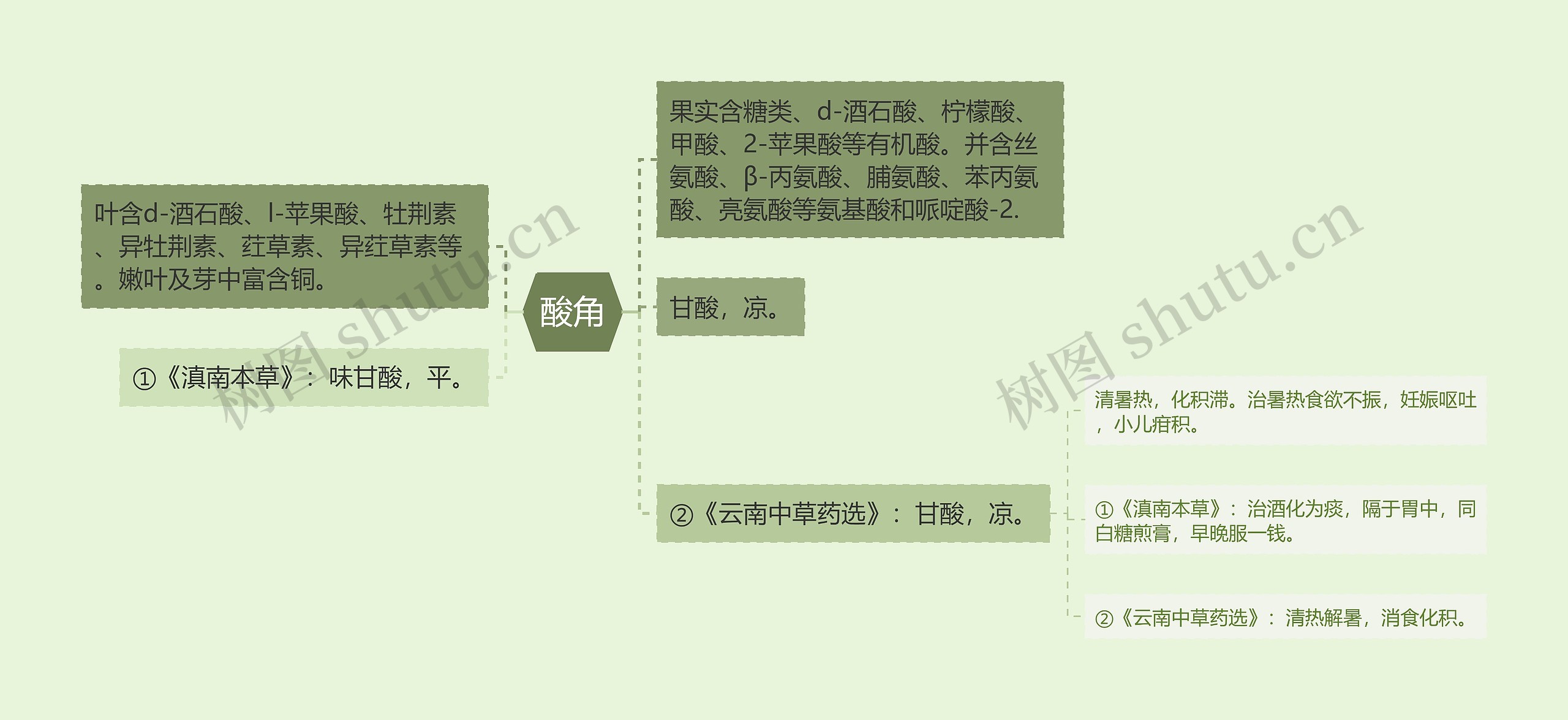 酸角思维导图