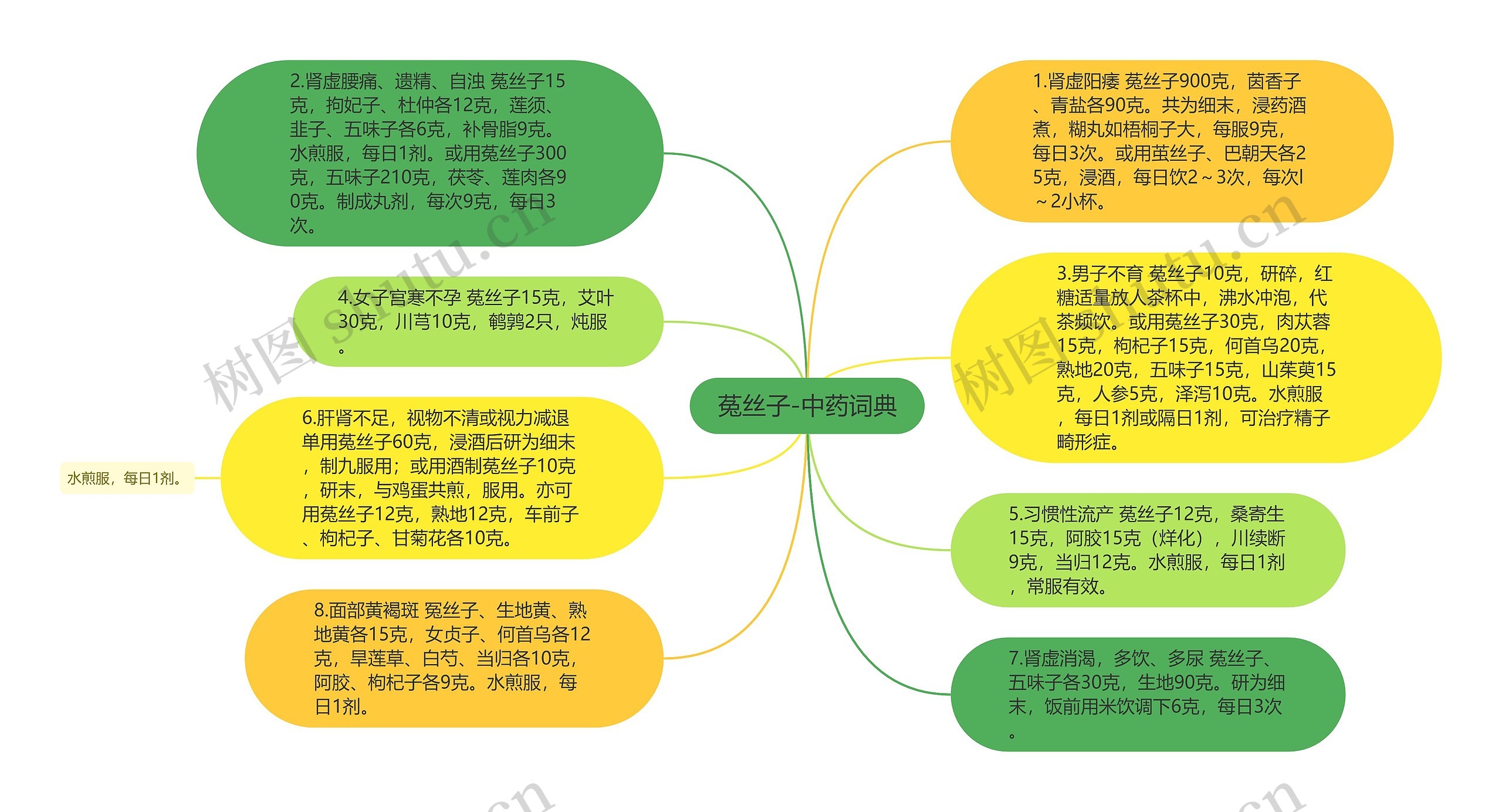 菟丝子-中药词典思维导图