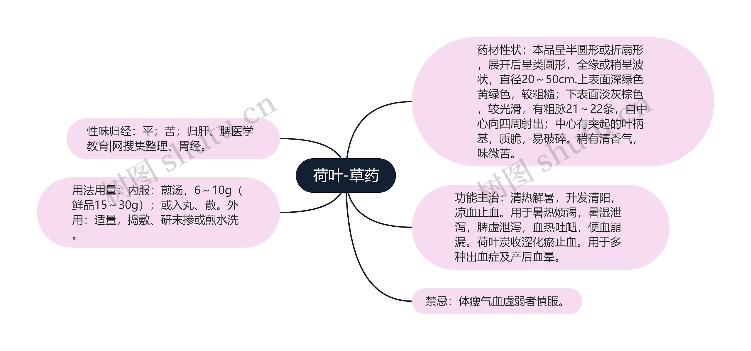 荷叶-草药 荷叶-草药